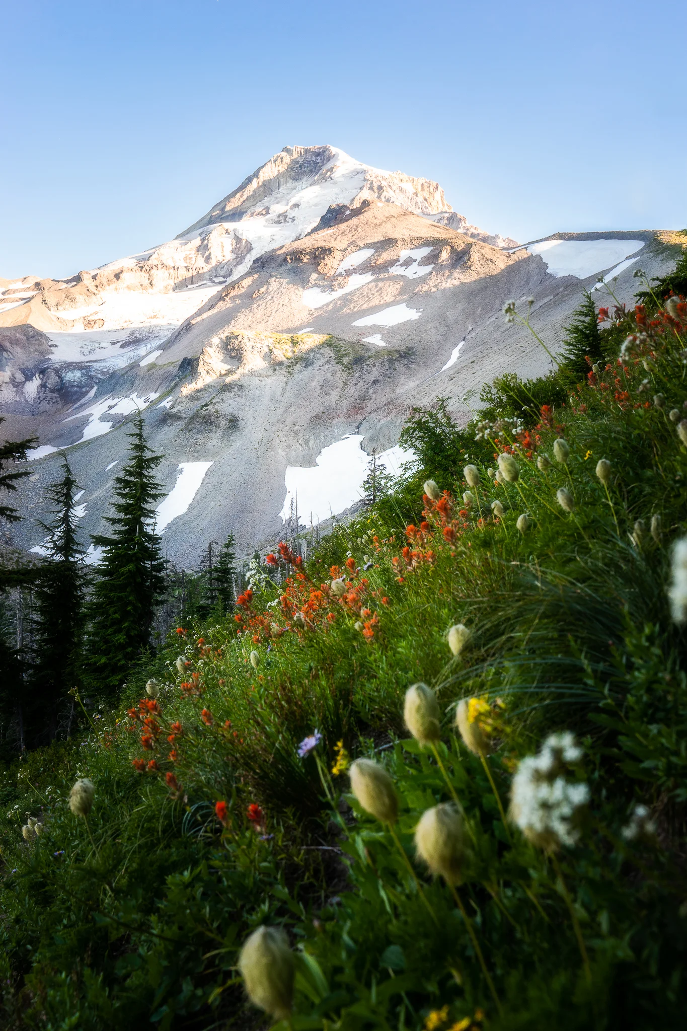 Mt. Hood - Website.jpg