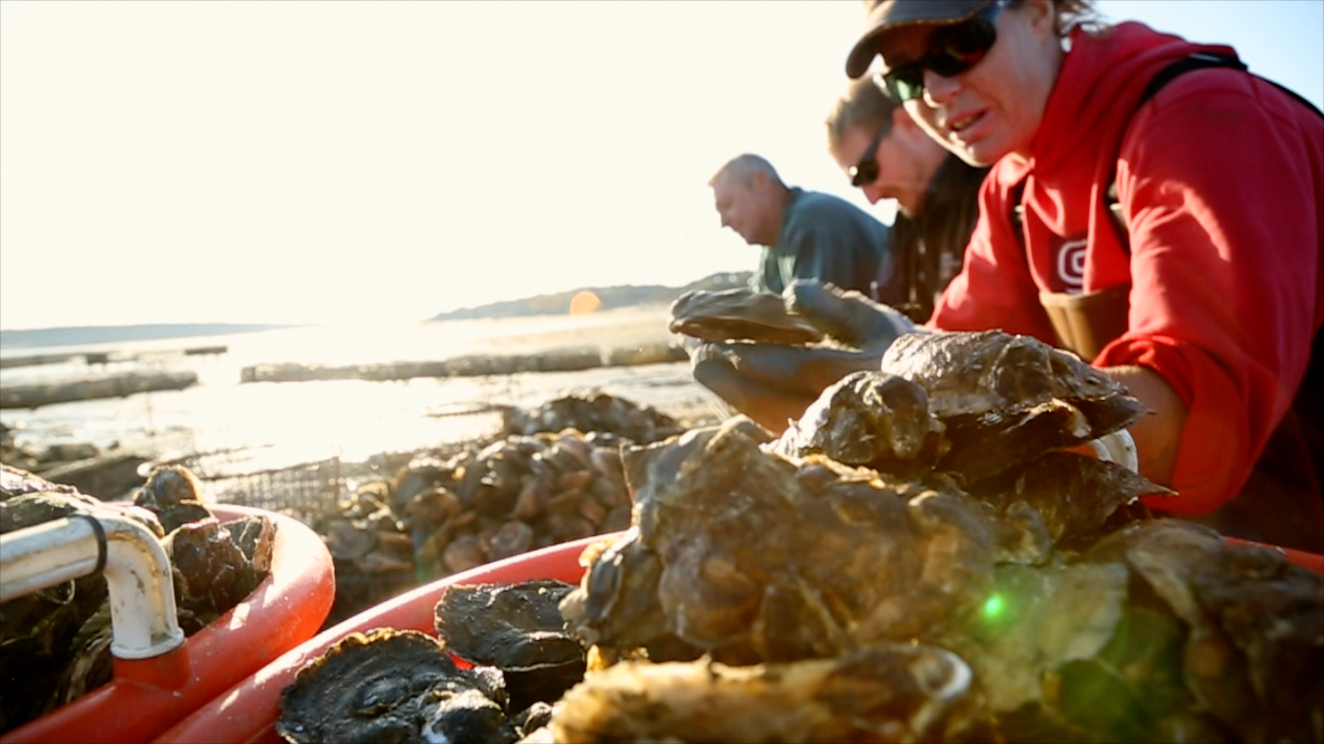 Fish & Men Oyster cleaning.png