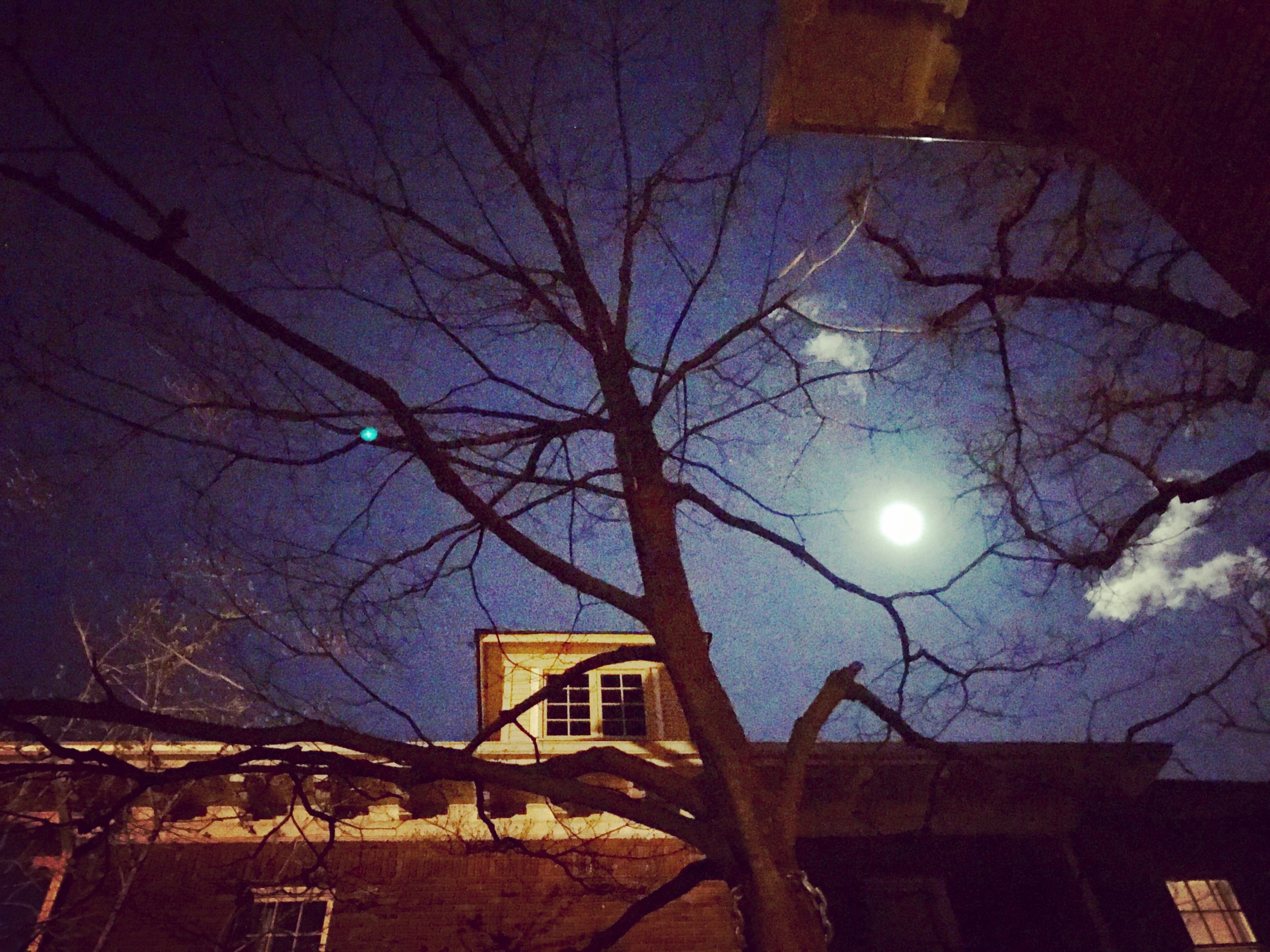 DC // One Eve