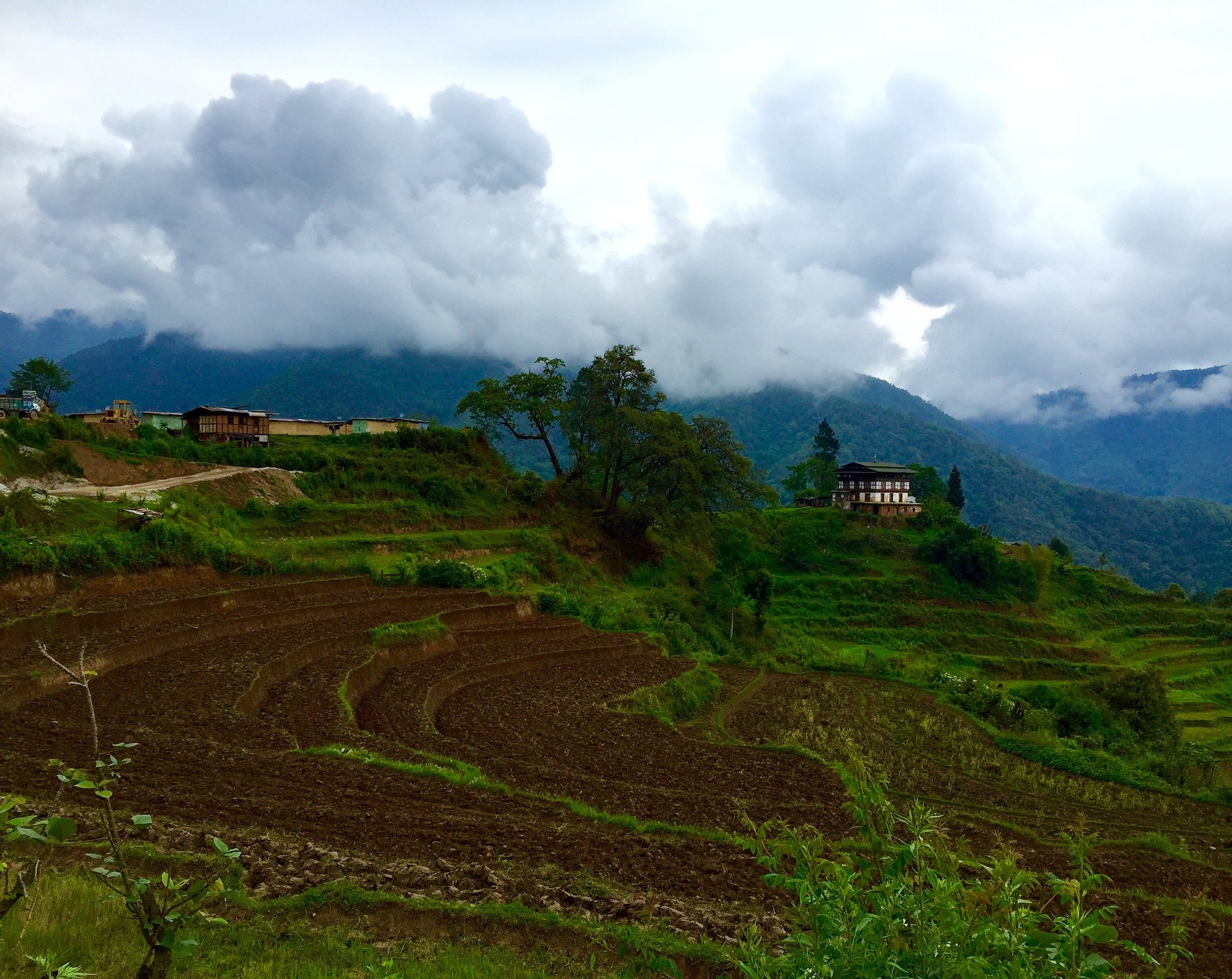 BHUTAN // Punakha