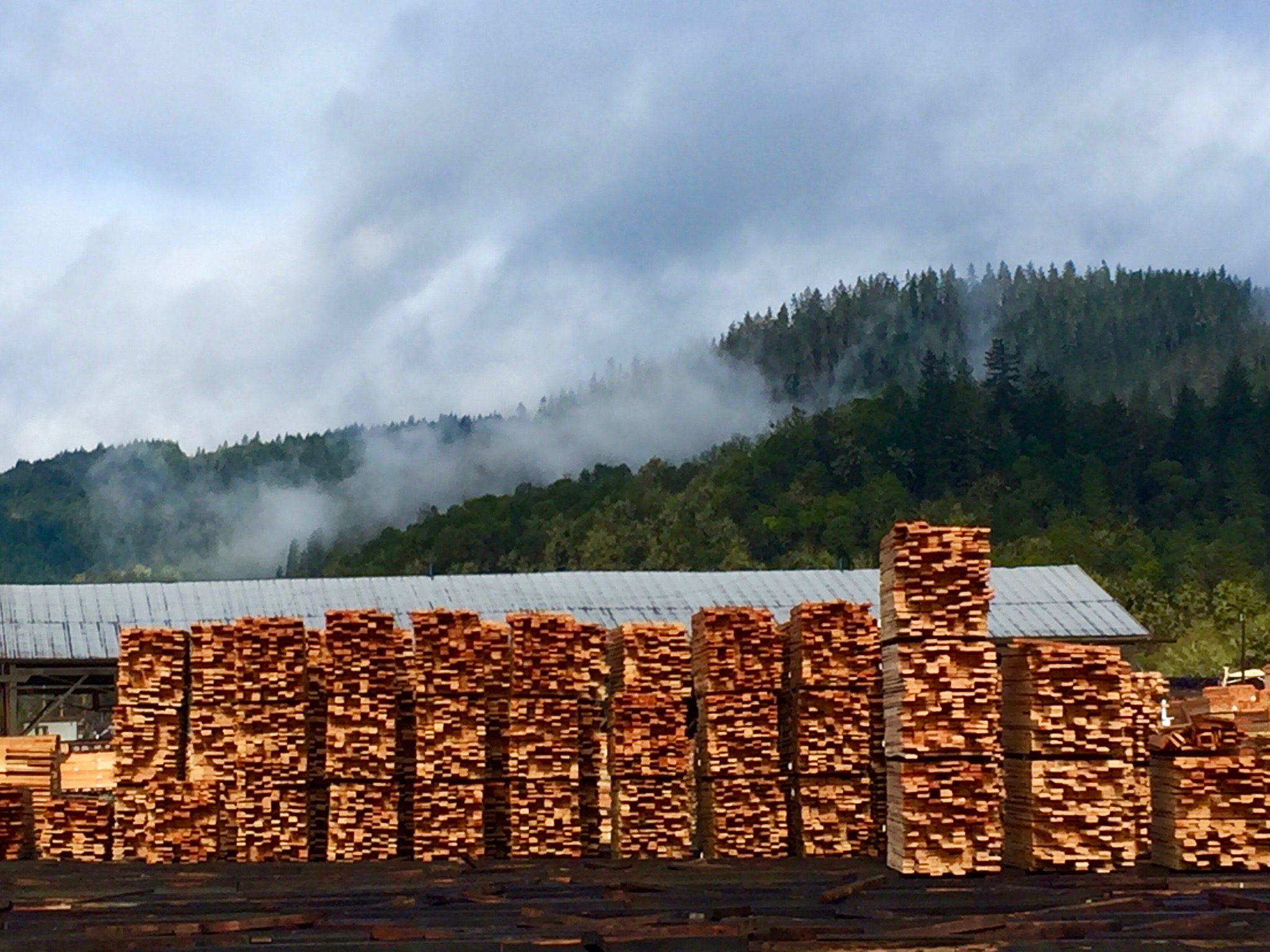 OREGON // Sustainable Northwest Wood