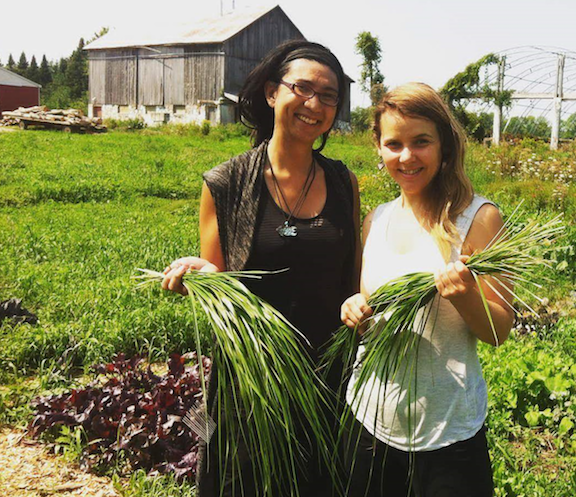 Mno Wiisini Gitigaan, Tides Canada Initiatives