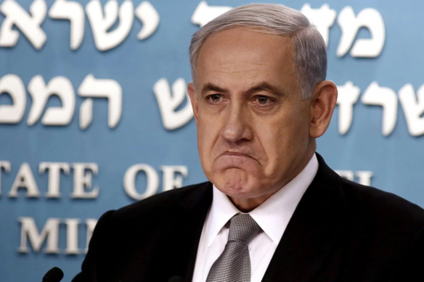 Bibi.jpg