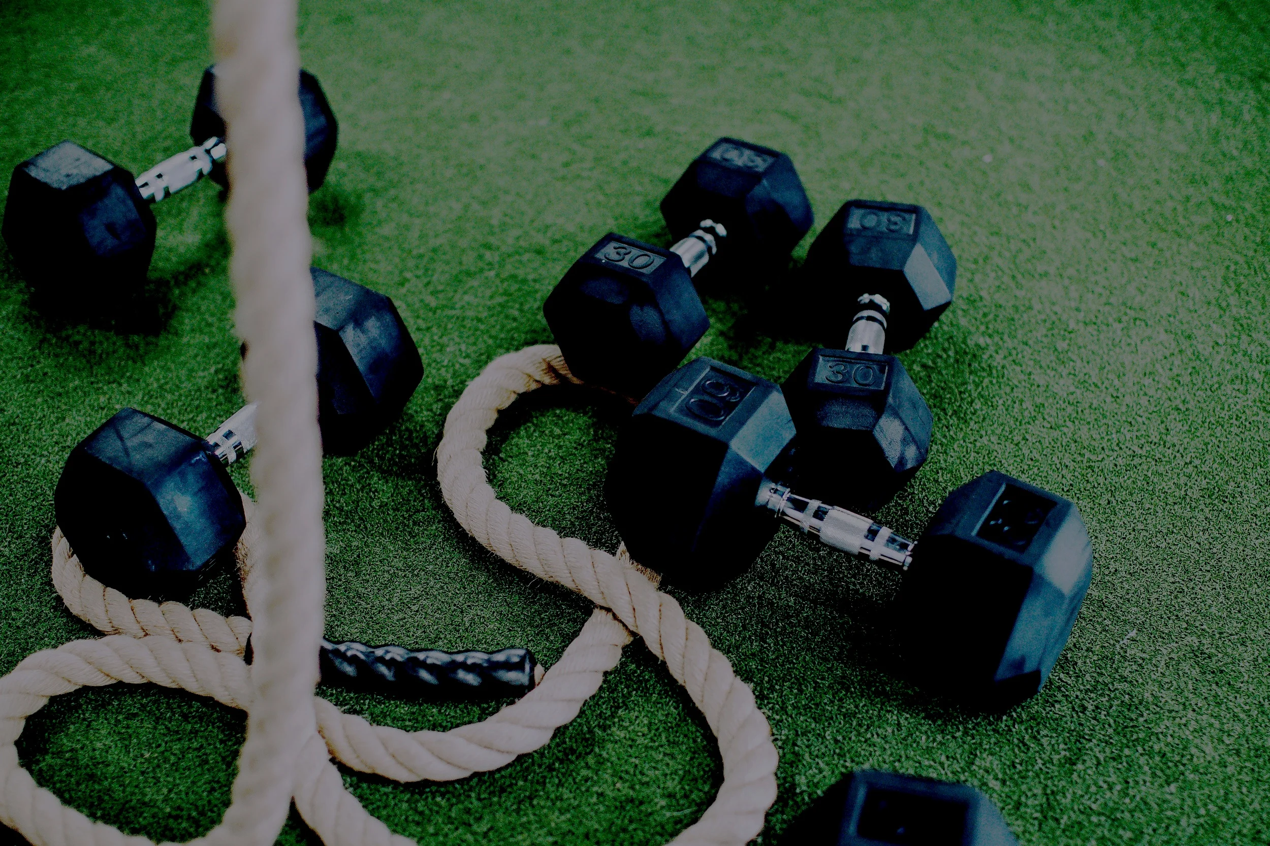SOTAFitnessMinneapolisGym%252859of178%2529.jpg