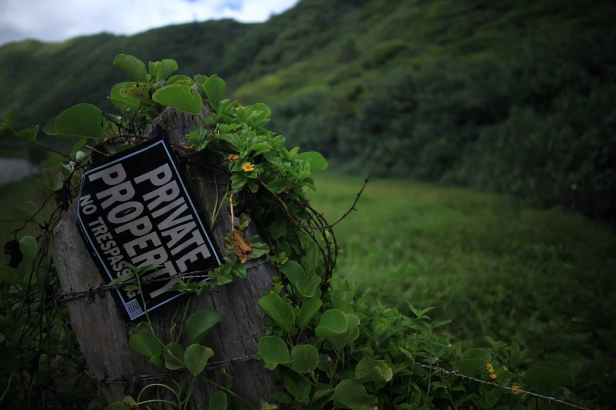 contrast - hawaii