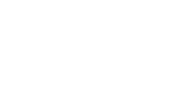 VERVE MEDIA