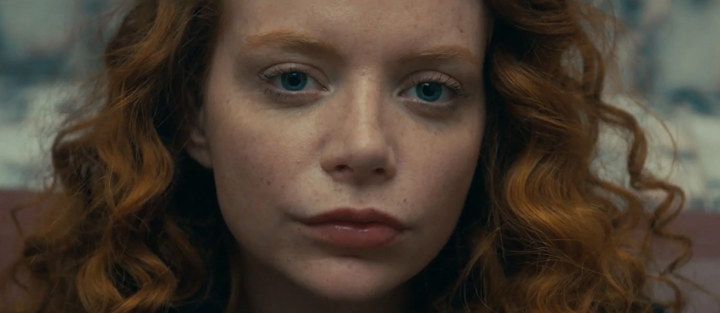 GAVIN HALEY - Show Me