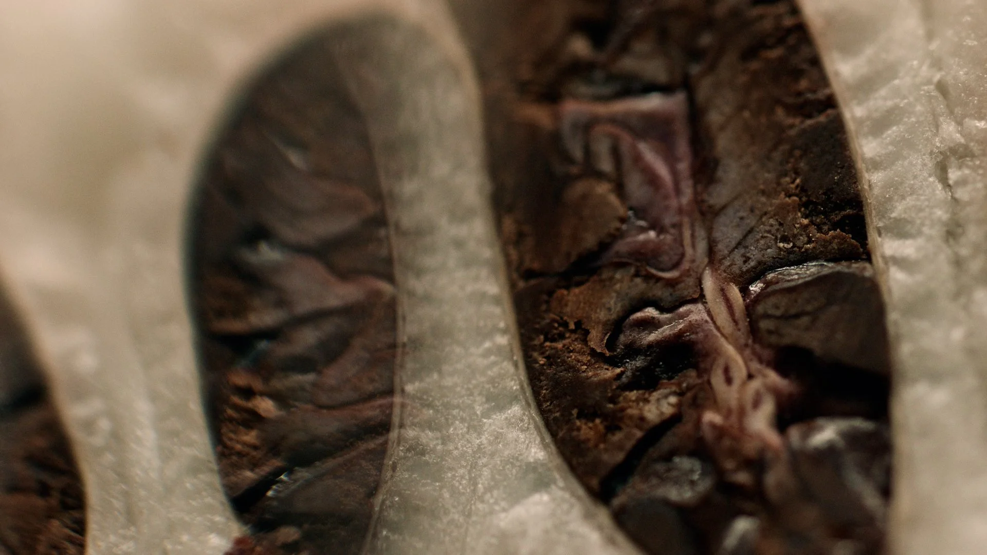 The Art Of Chocolate