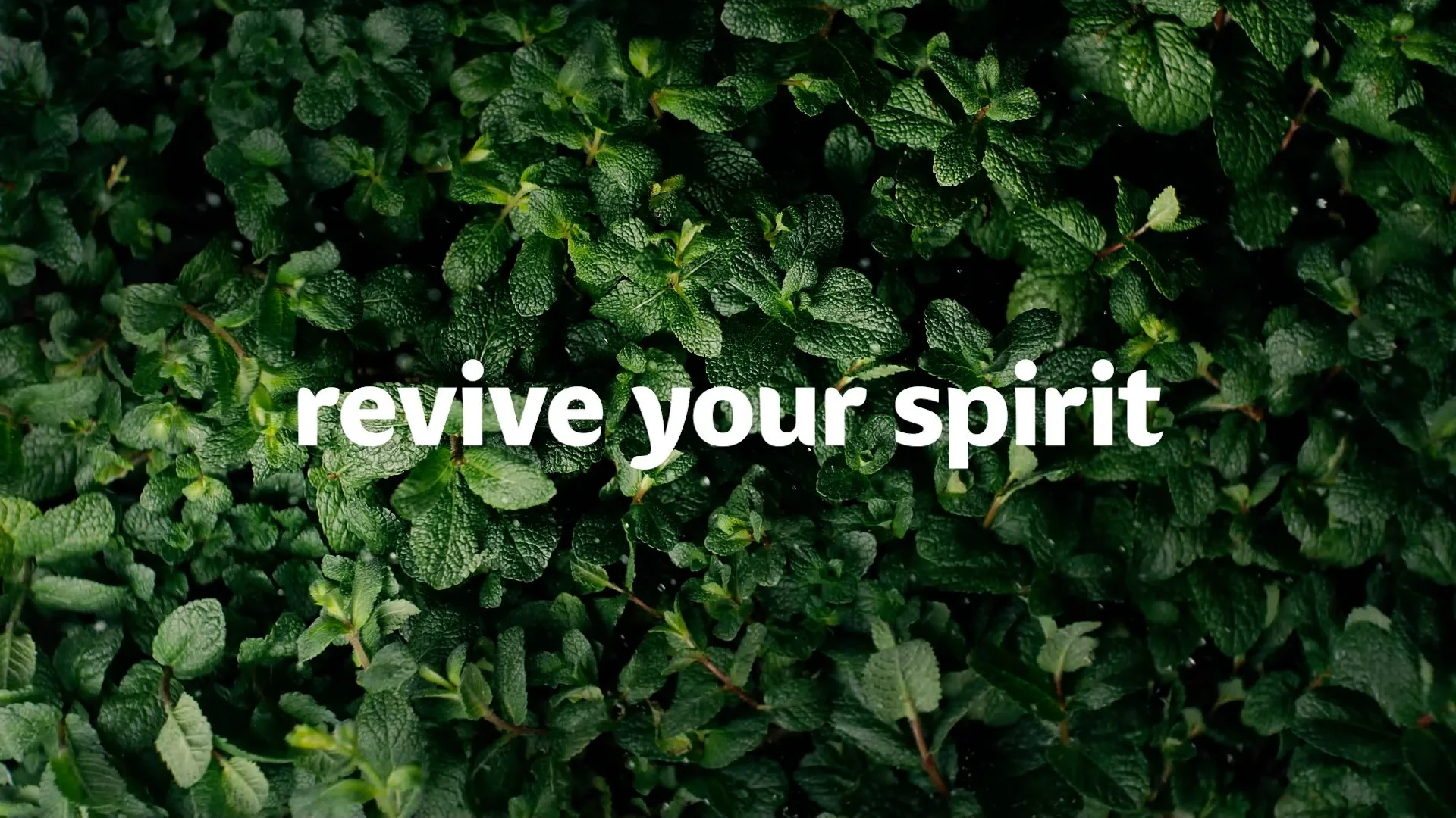 FUZE - Relax Your Mind