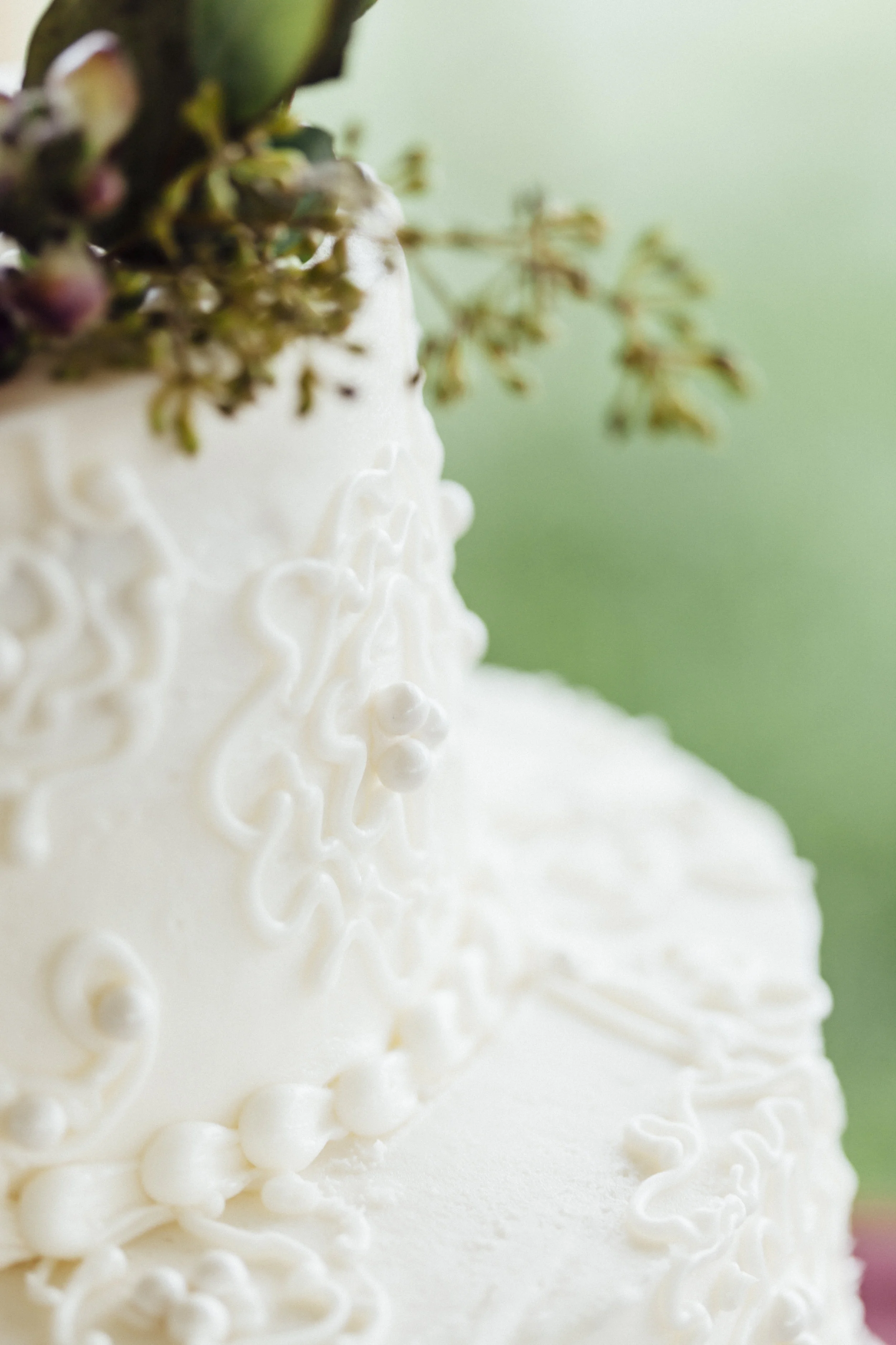 knoxville wedding photographer pleasant hill vineyards