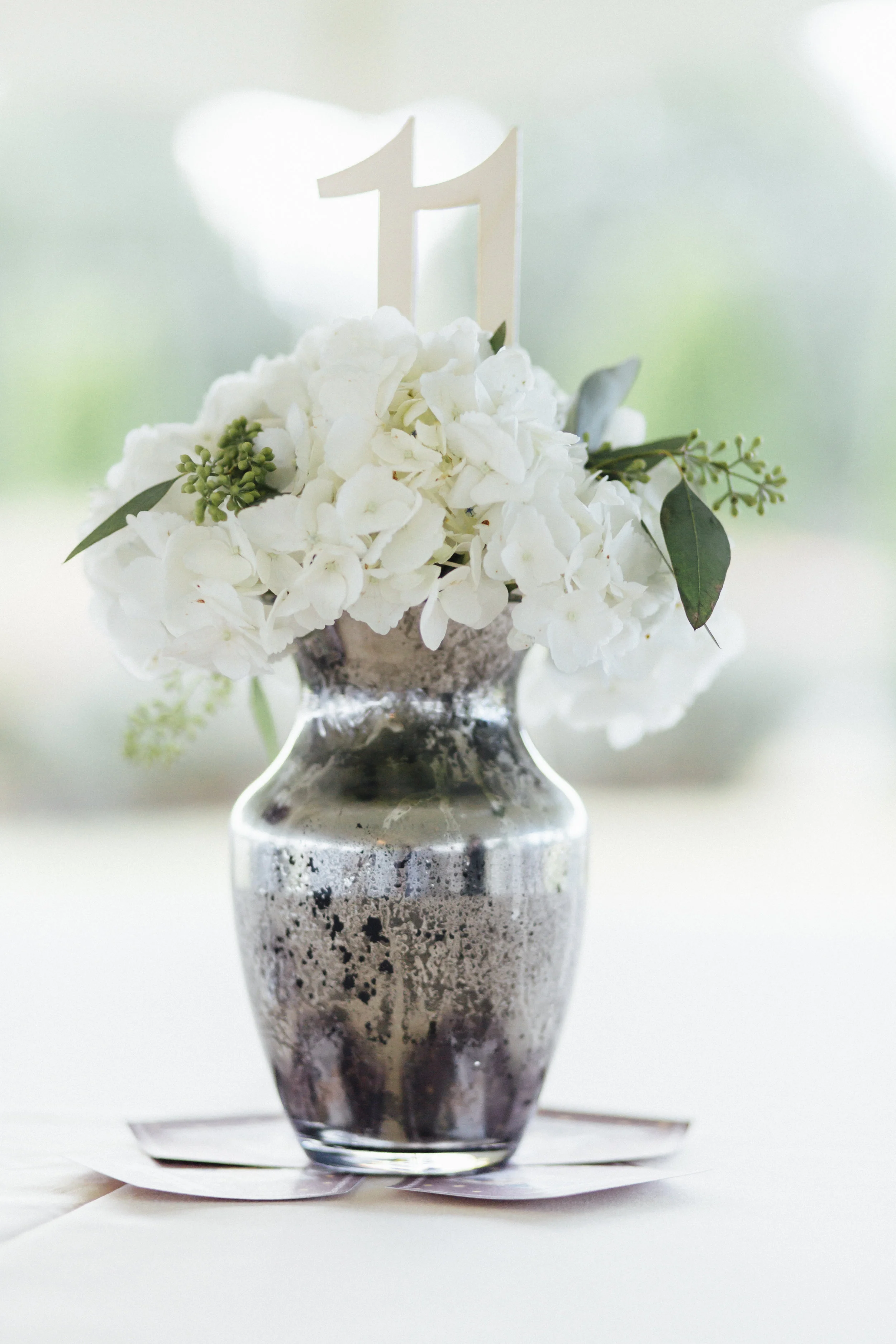 knoxville wedding photographer pleasant hill vineyards