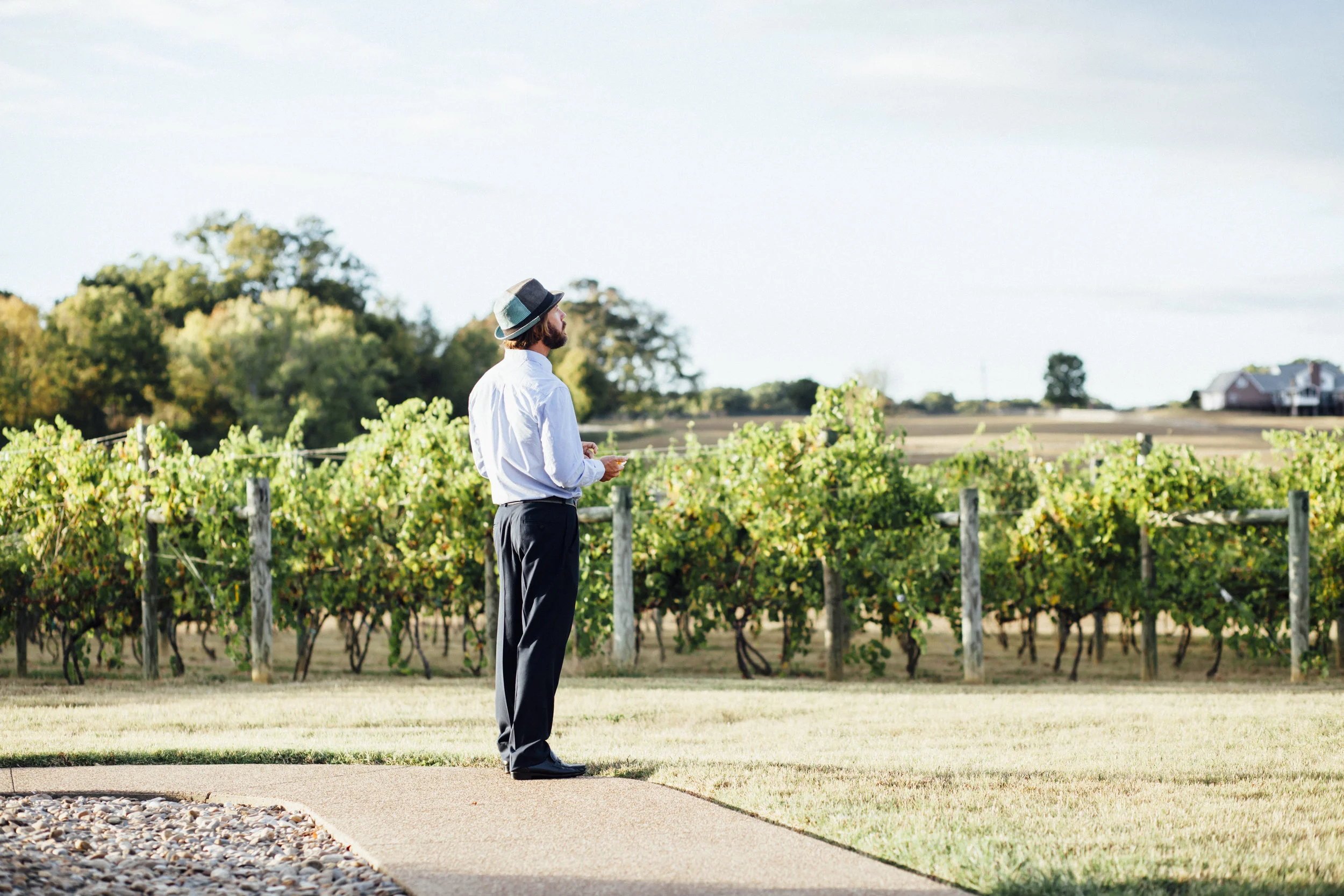 knoxville wedding photographer pleasant hill vineyards