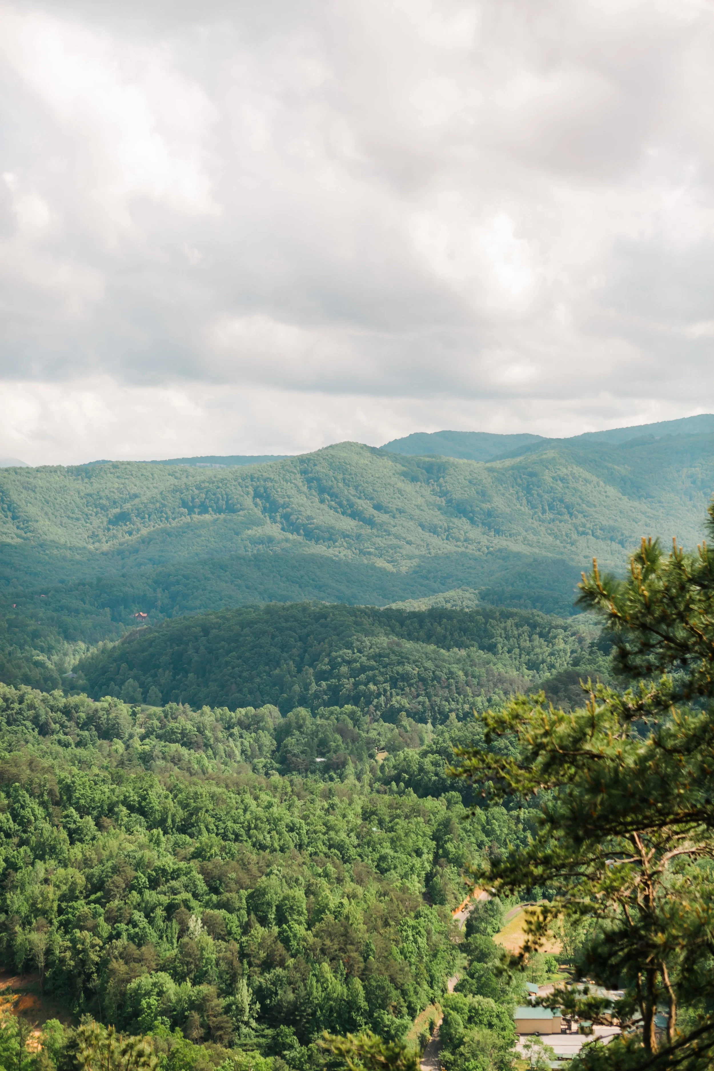 great smoky mountain wedding magnolia venue