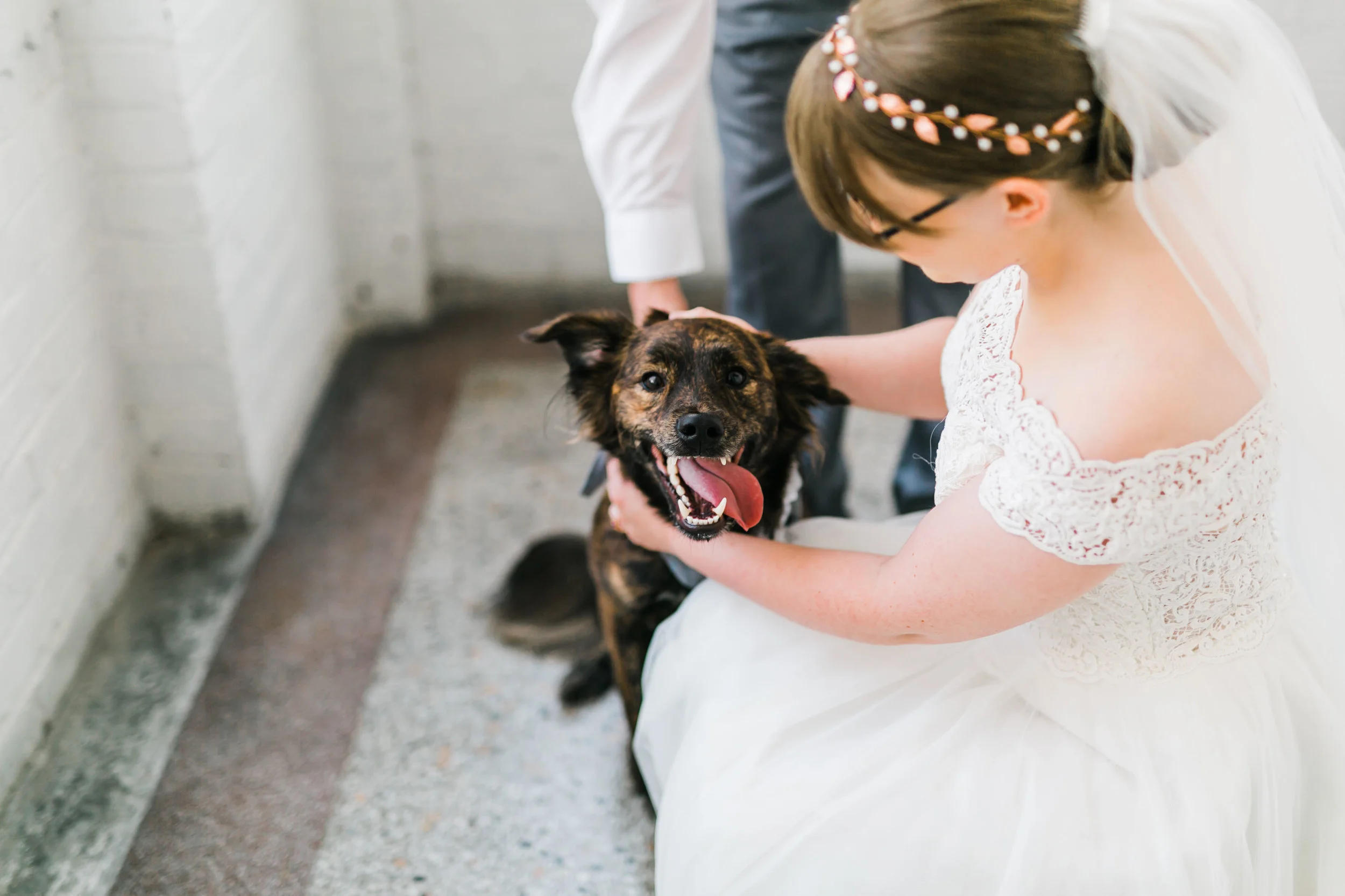 dog friendly venue knoxville tn bleak house