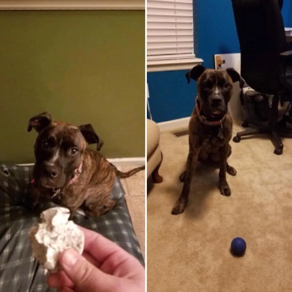 Archer can do some serious damage on inferior balls (left), but the K9X Ball is holding strong!