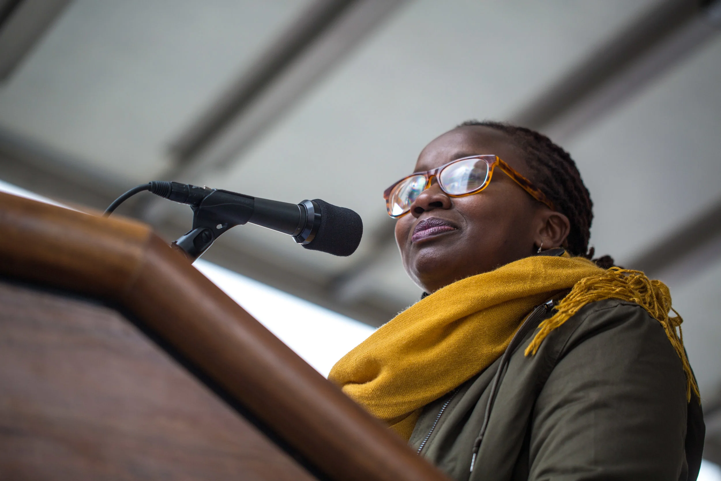 Resistance Protest Rall Refugee No Ban No Wall resist 45 trump president white house DC government politics candid nonprofit Rogue Photo photography street photography