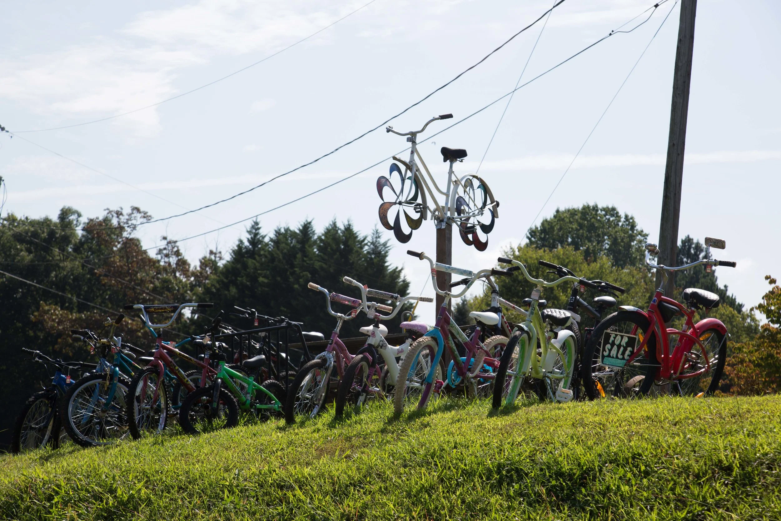 8.31.17_Cville2DC_D4-95.jpg