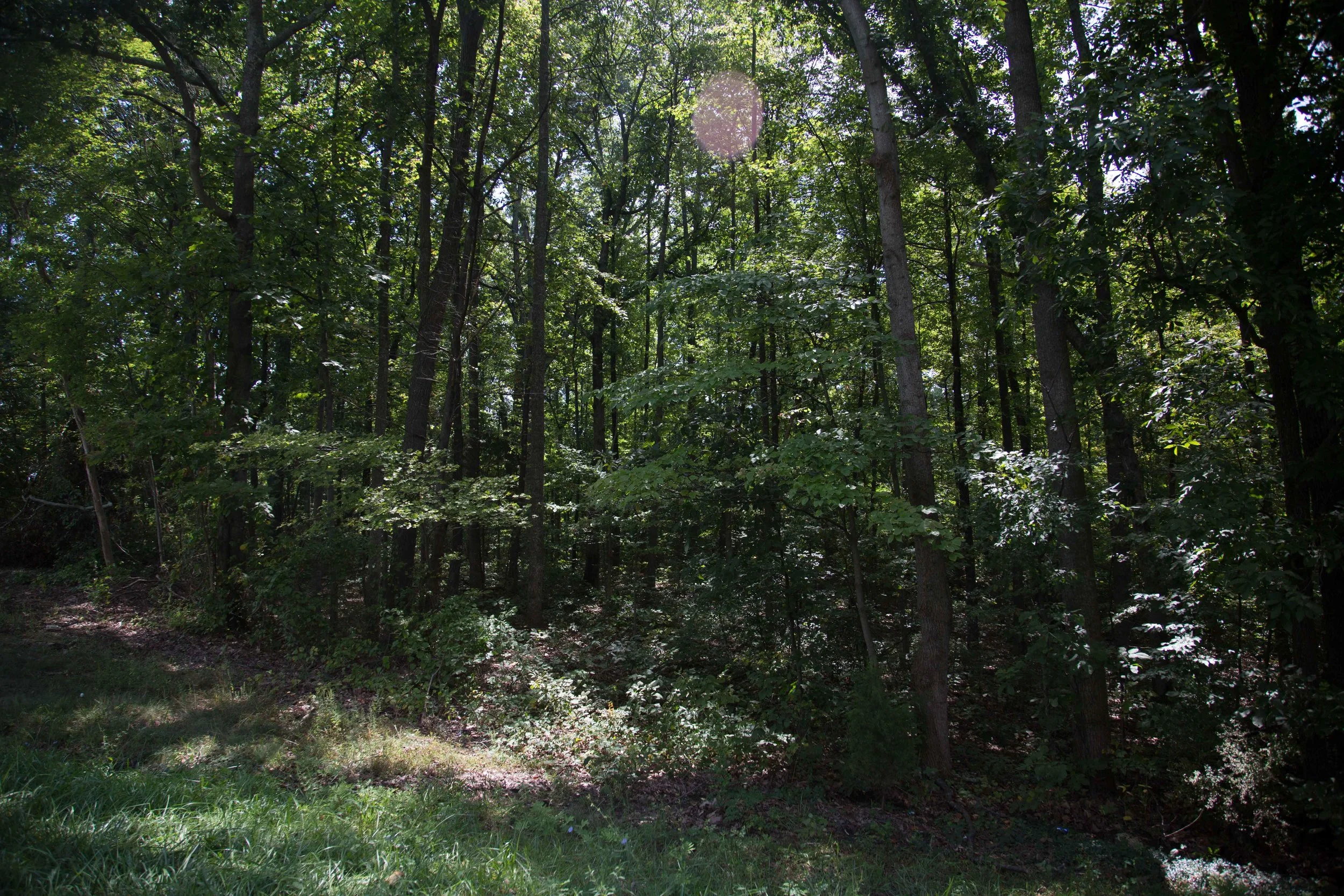 8.31.17_Cville2DC_D4-105.jpg