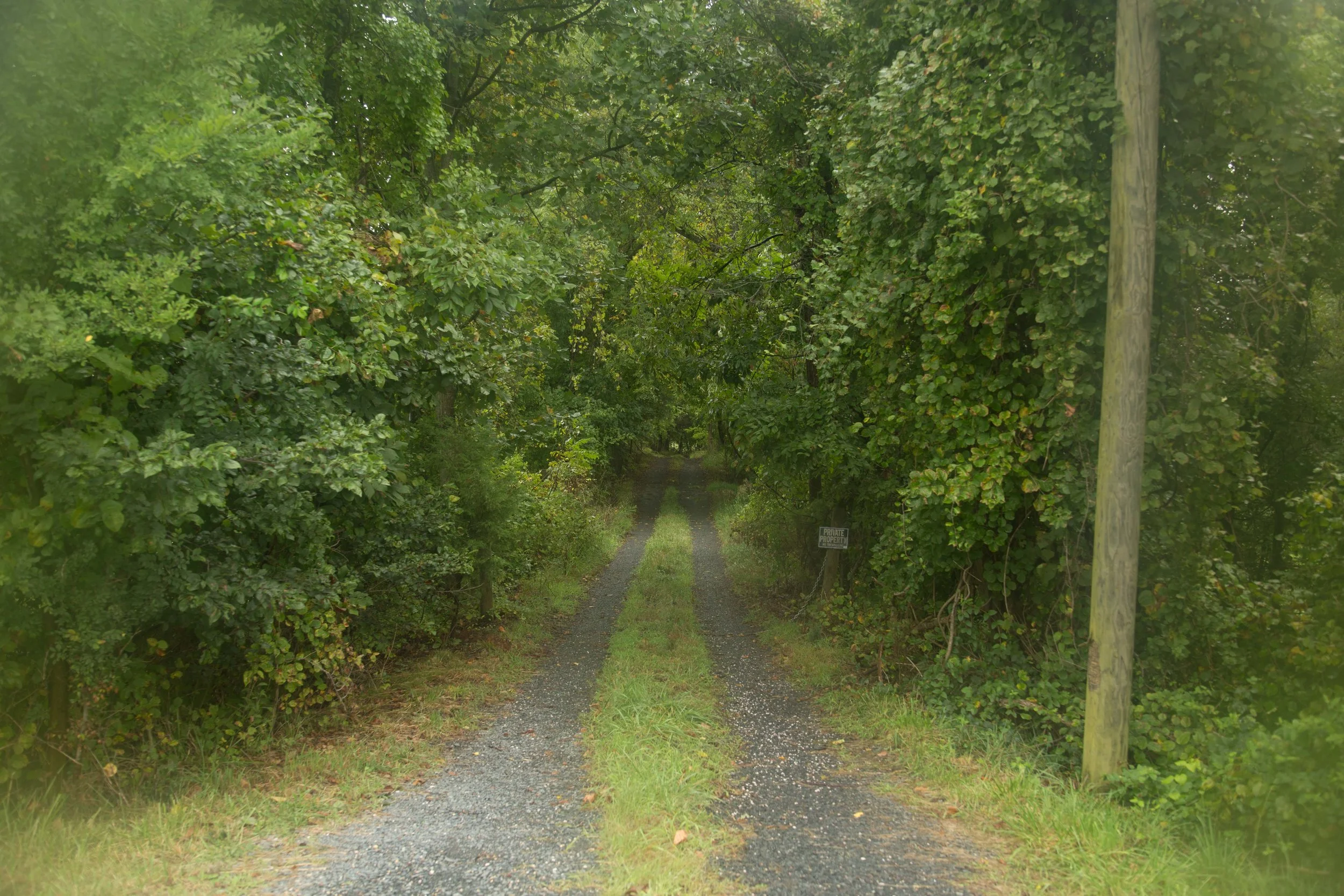 9.2.17_Cville2DC_D6-68.jpg