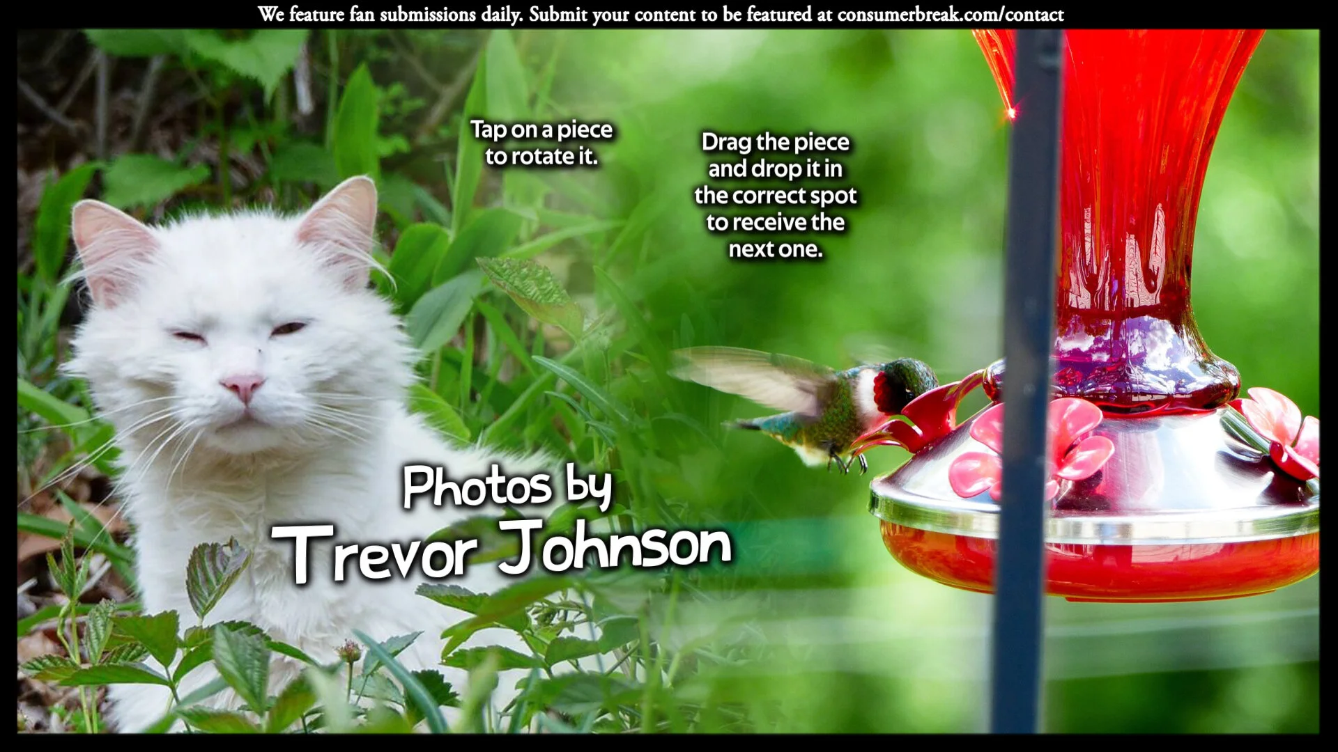 1-LEVEL GAME 1-Day Contest