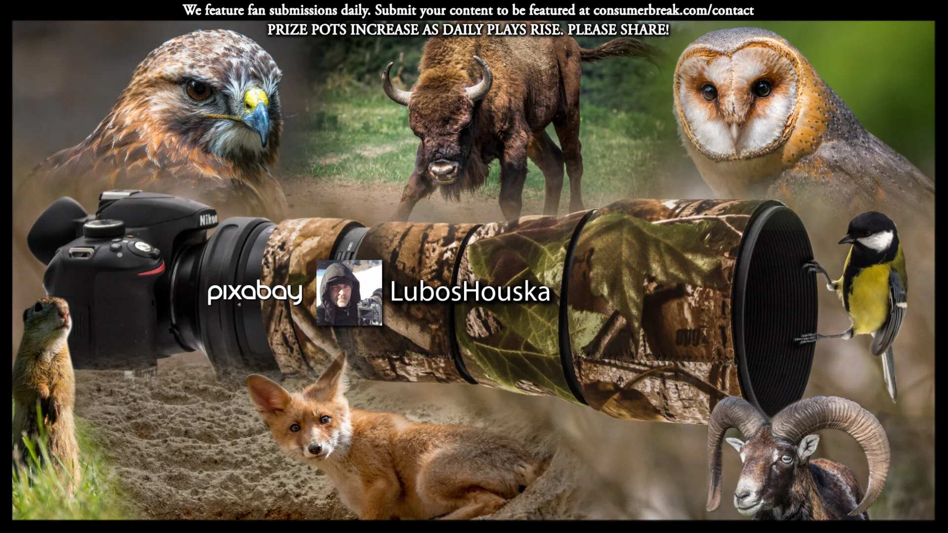 1-LEVEL GAME 1-Day ContestPhotos by LubosHouska