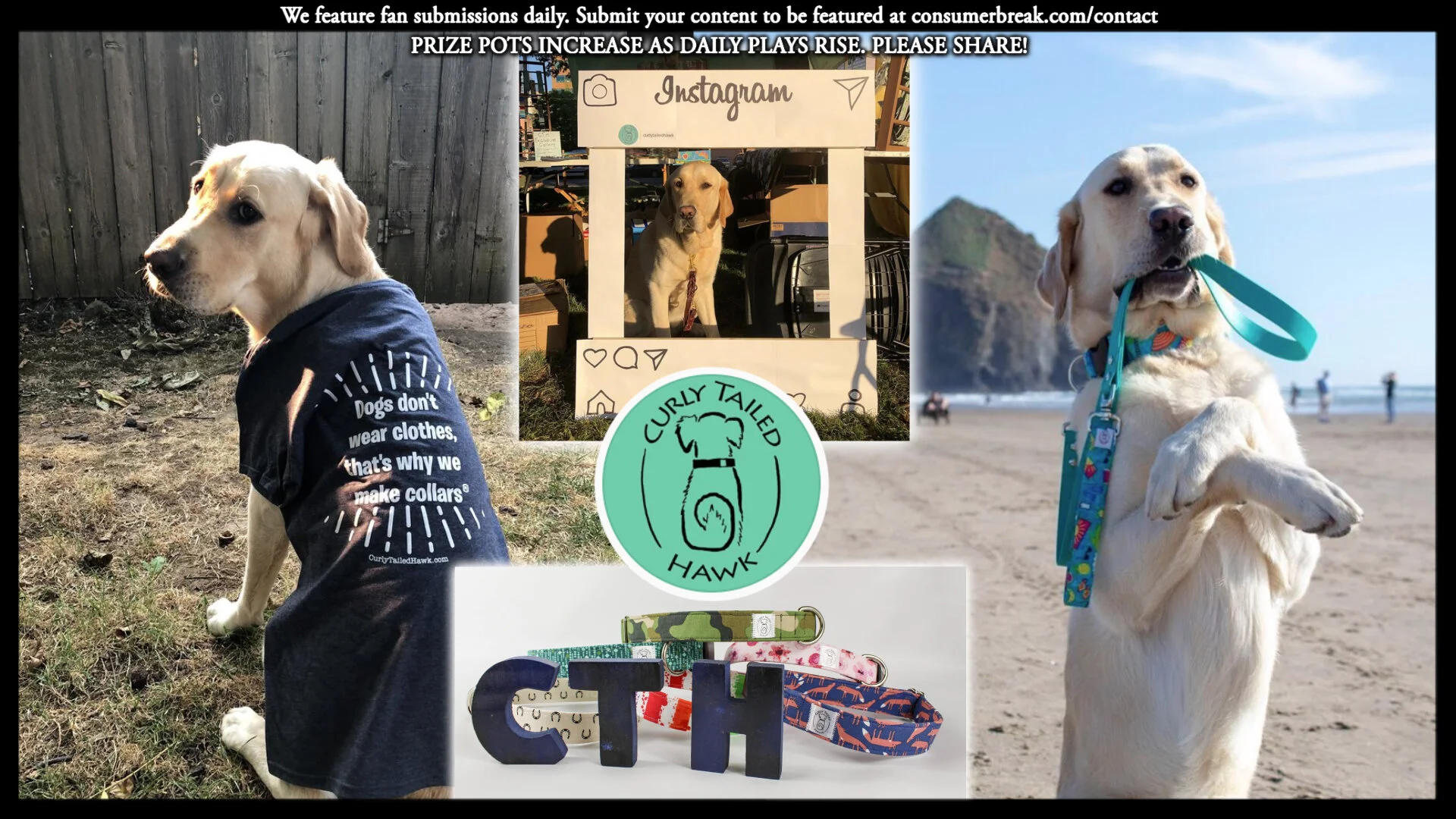 1-LEVEL GAME 1-Day ContestPhotos by Curly Tailed Hawk