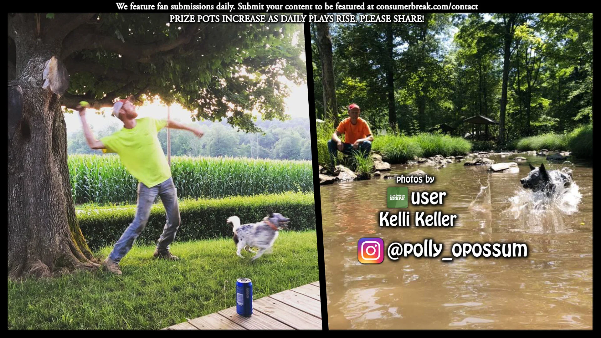 1-LEVEL GAME 1-Day ContestPhotos by @polly_opossum