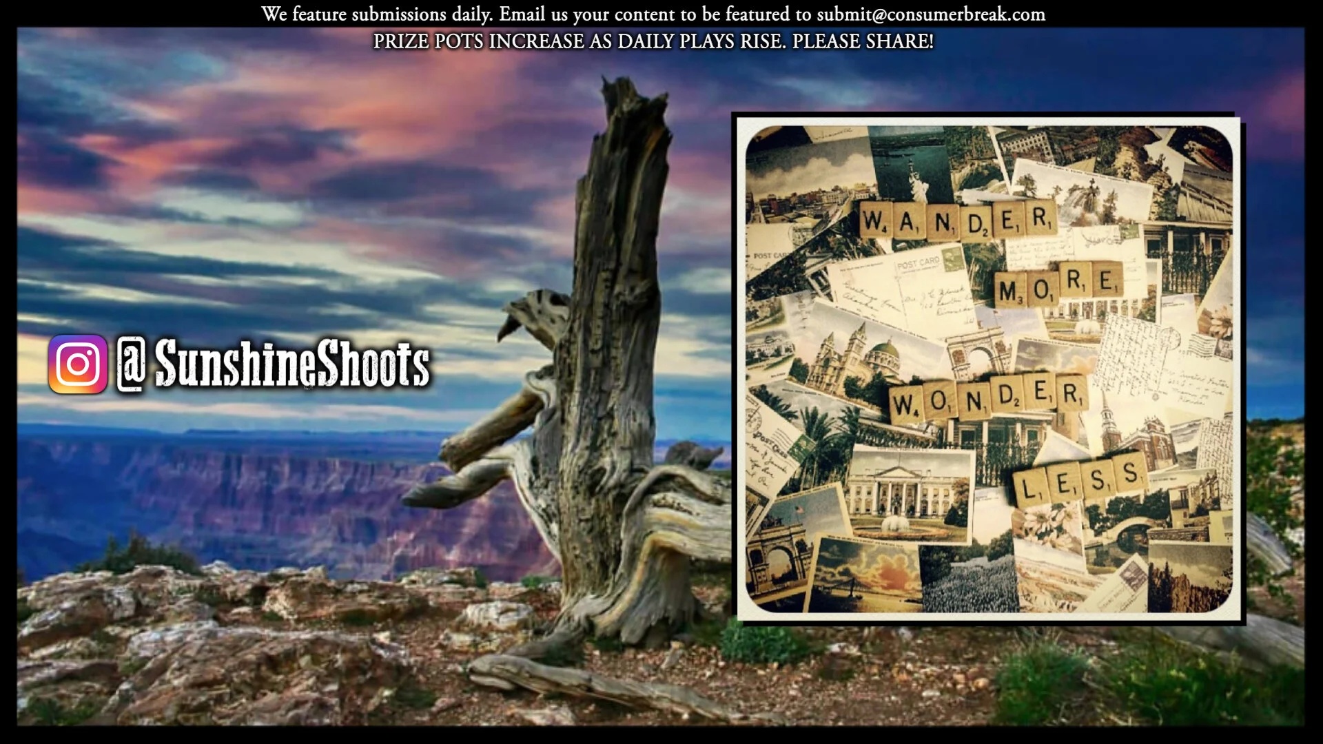 1-LEVEL GAME 1-Day ContestPhotos by @SunshineShoots