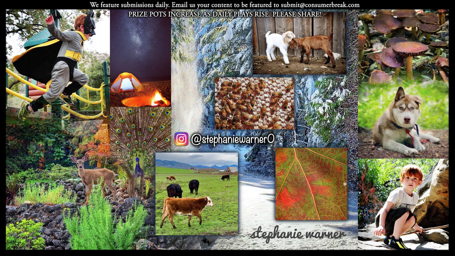 1-LEVEL GAME 1-Day ContestPhotos by @stephaniewarner0