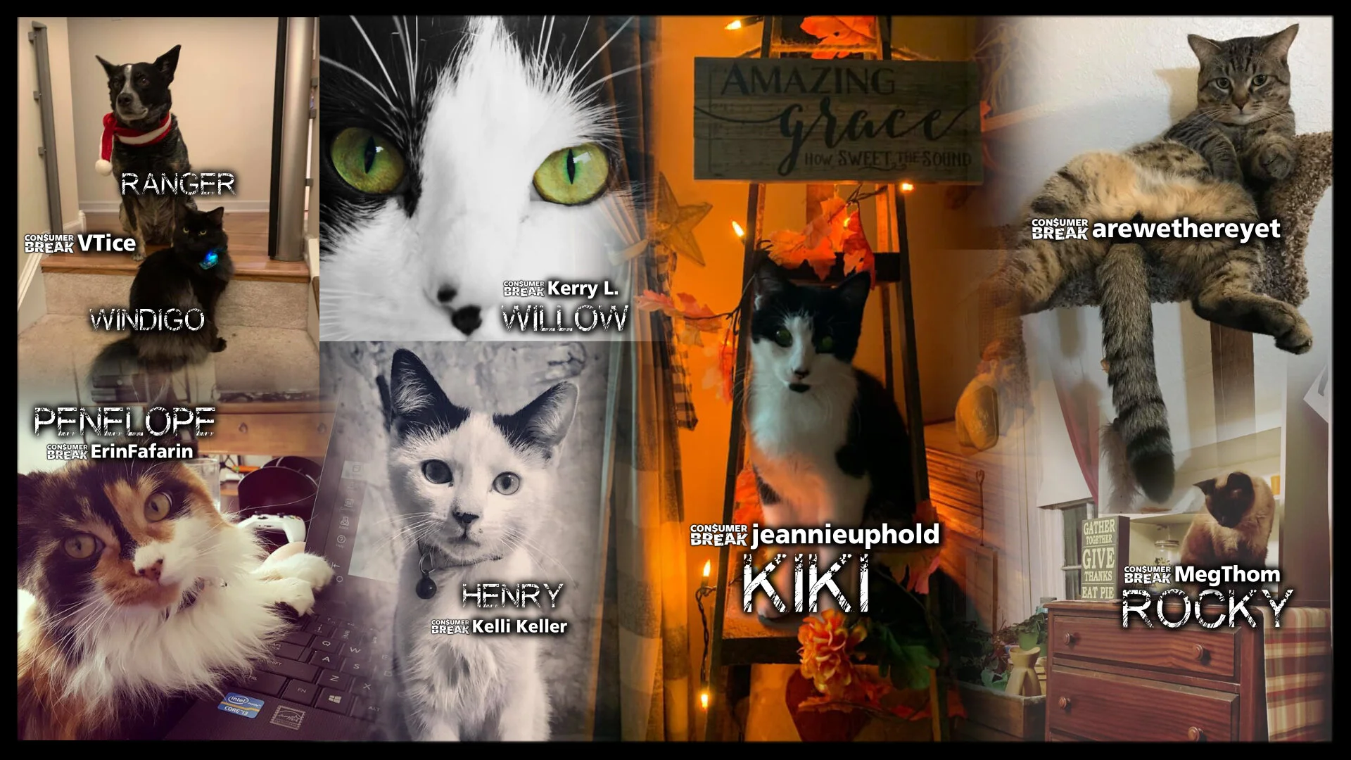 5-LEVEL GAME 7-Day ContestSee all PET BREAK puzzle images HERE!