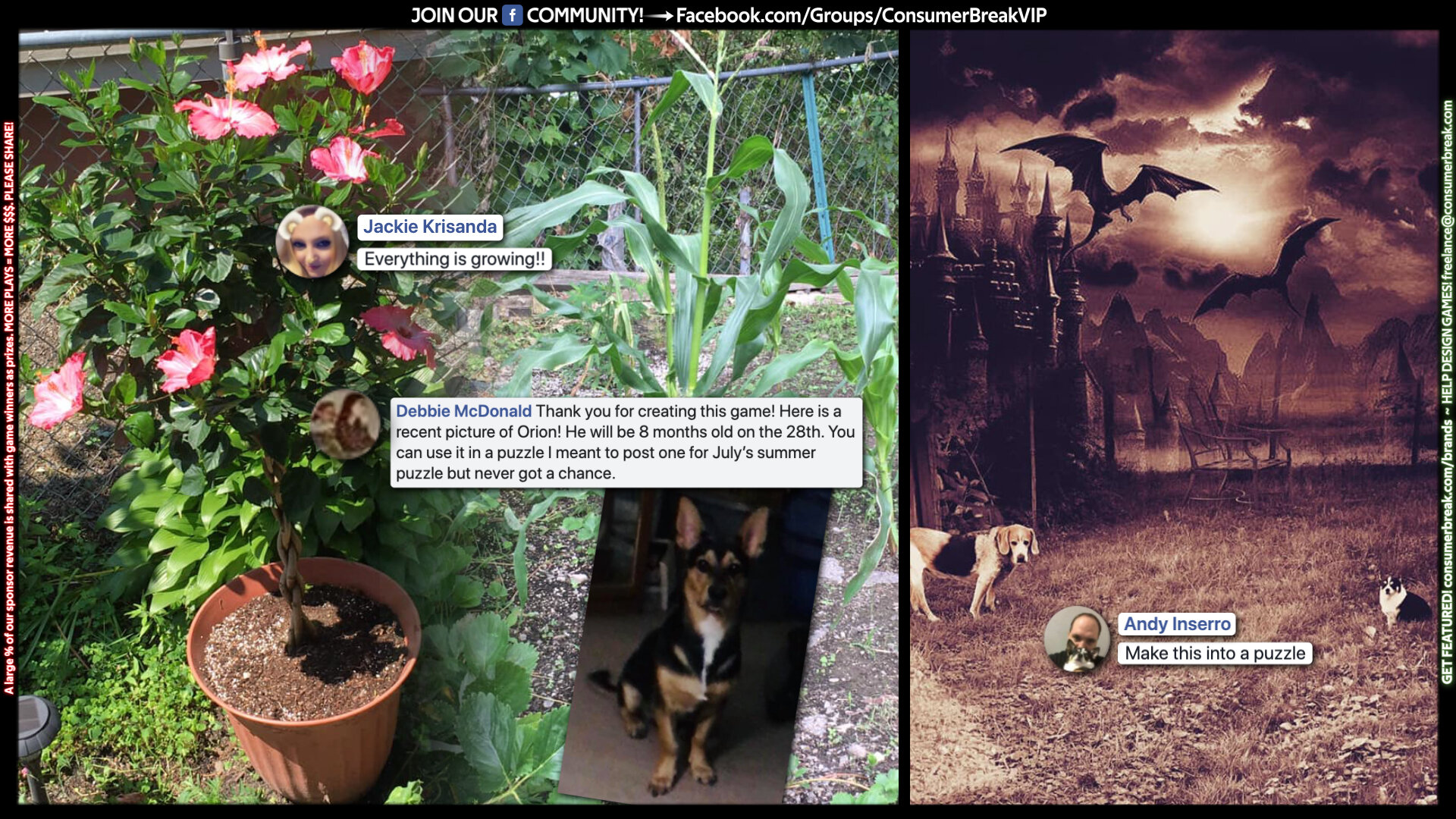 1-LEVEL GAME 2-Day ContestJoin the V.I.P. Facebook community for free!