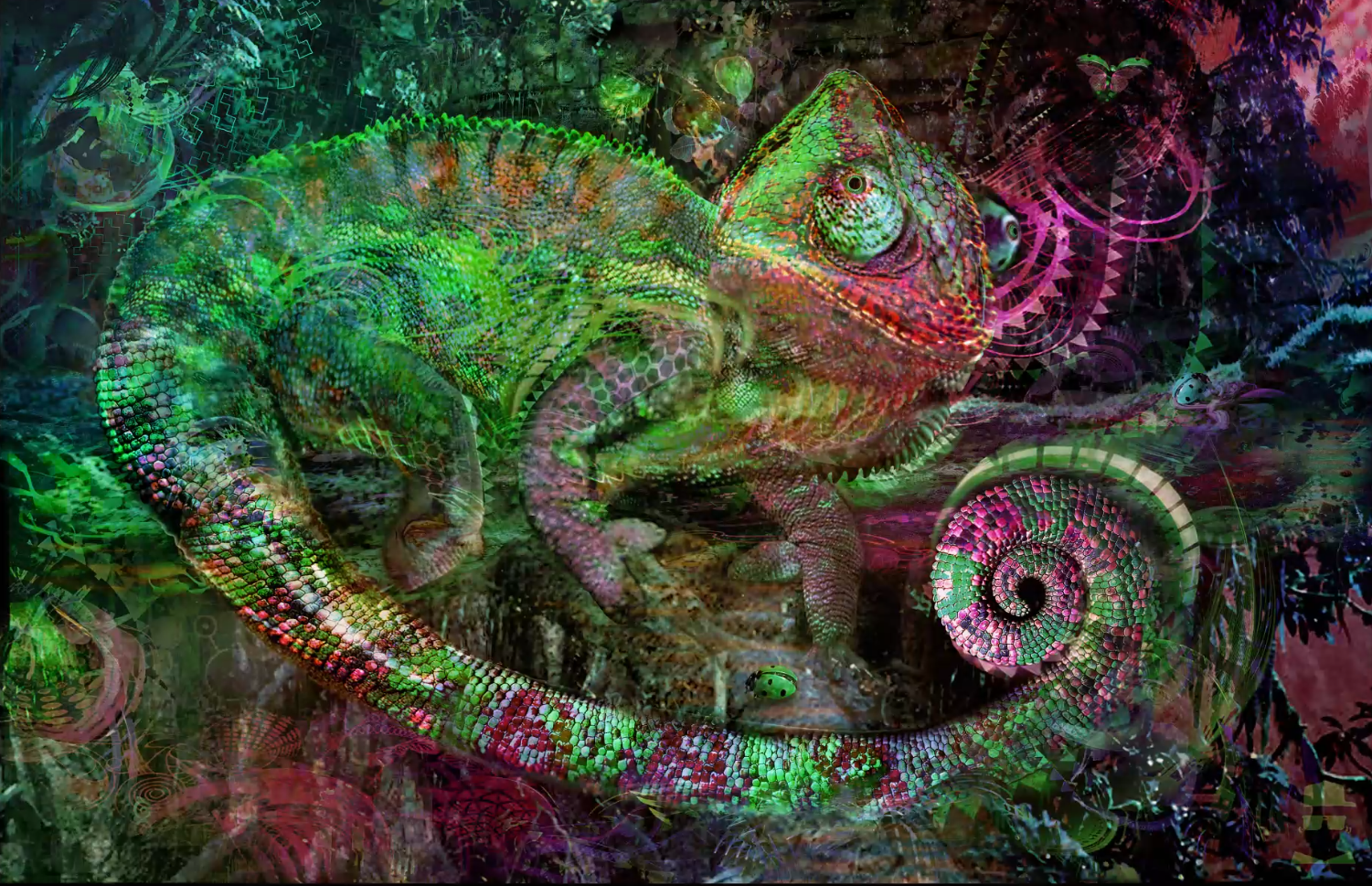 jumbie - chameleon.png
