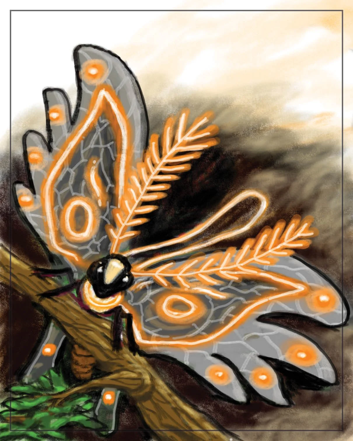orchid hunter nari.jpg