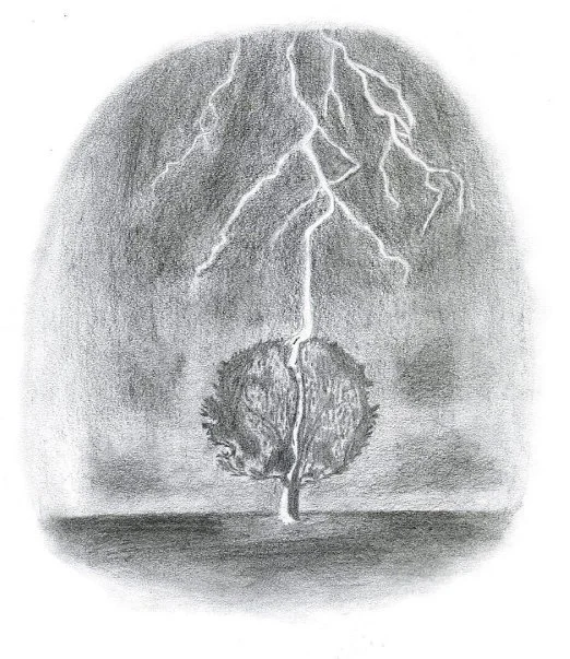 nat berg art - electrocution_00000.jpg