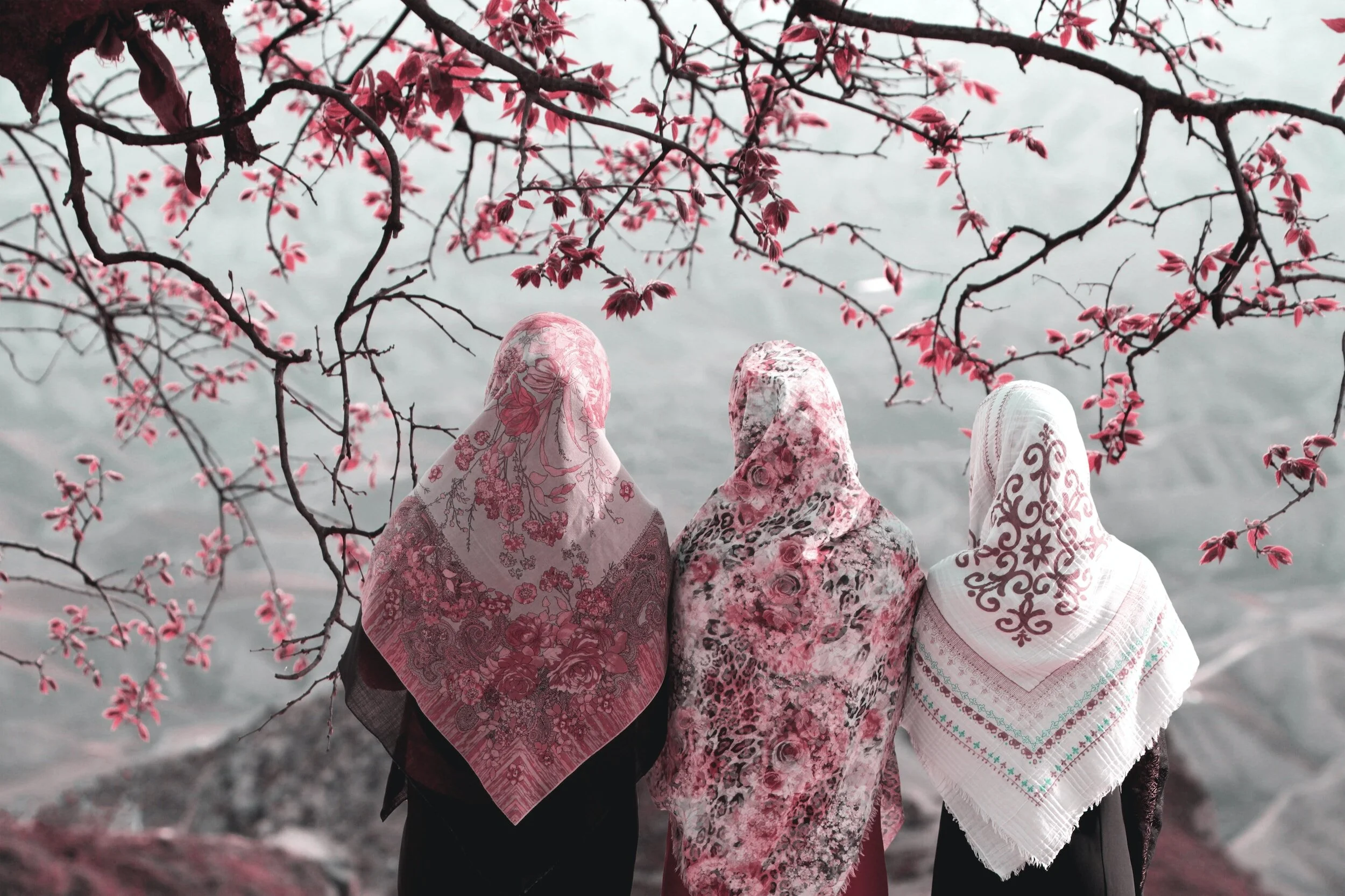 Acceptance: A Helpful Guide to Understanding and Practicing It