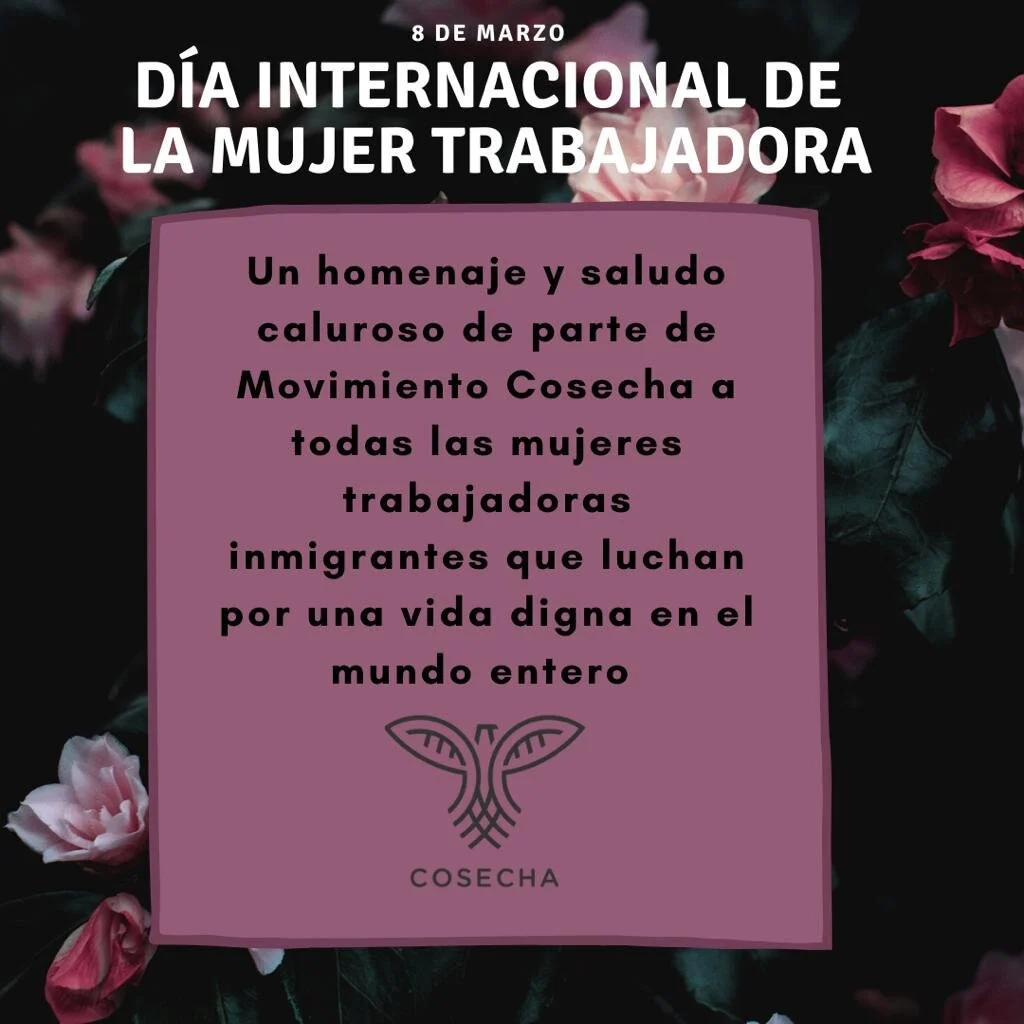 Declaración: Día internacional de la Mujer Trabajadora