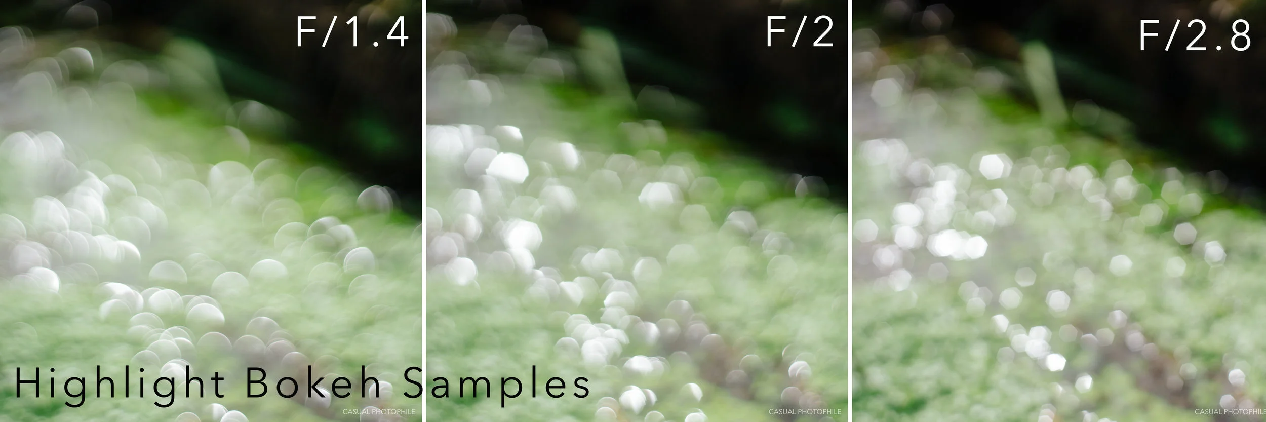 zeiss planar 50mm 1 4 sample.jpg