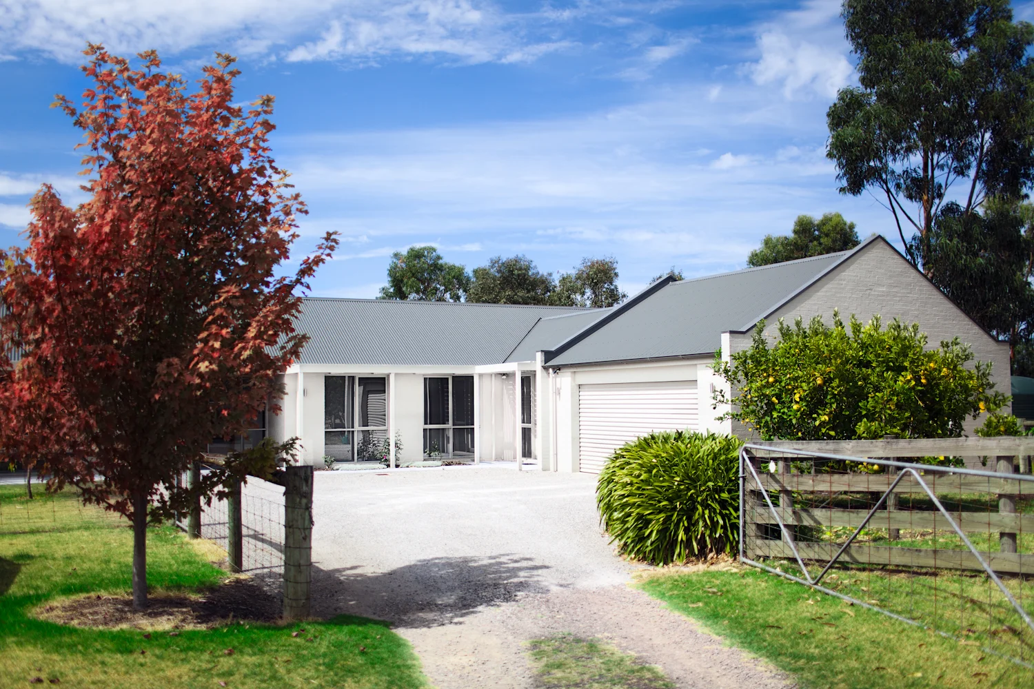 Bellarine Hwy.jpg