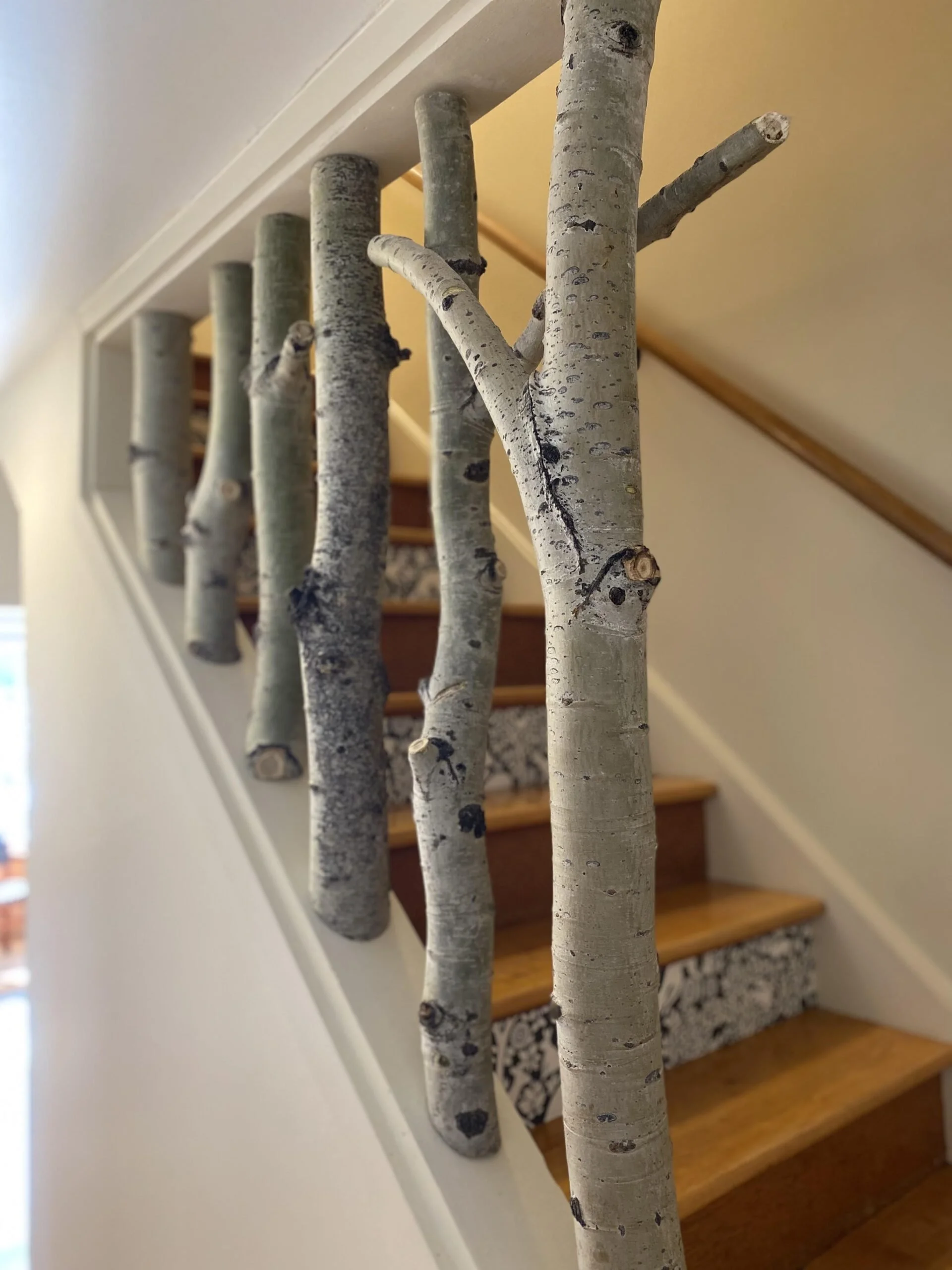 small red house 6.jpeg