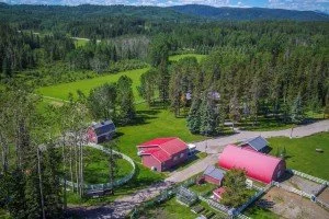 Folk Tree Farm MLS-17 - Copy.jpeg