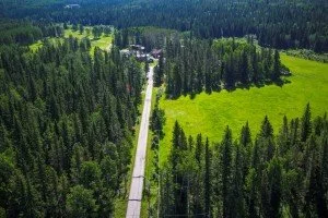 Folk Tree Farm MLS-2.jpeg