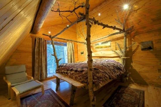 folk tree lodge2.jpg