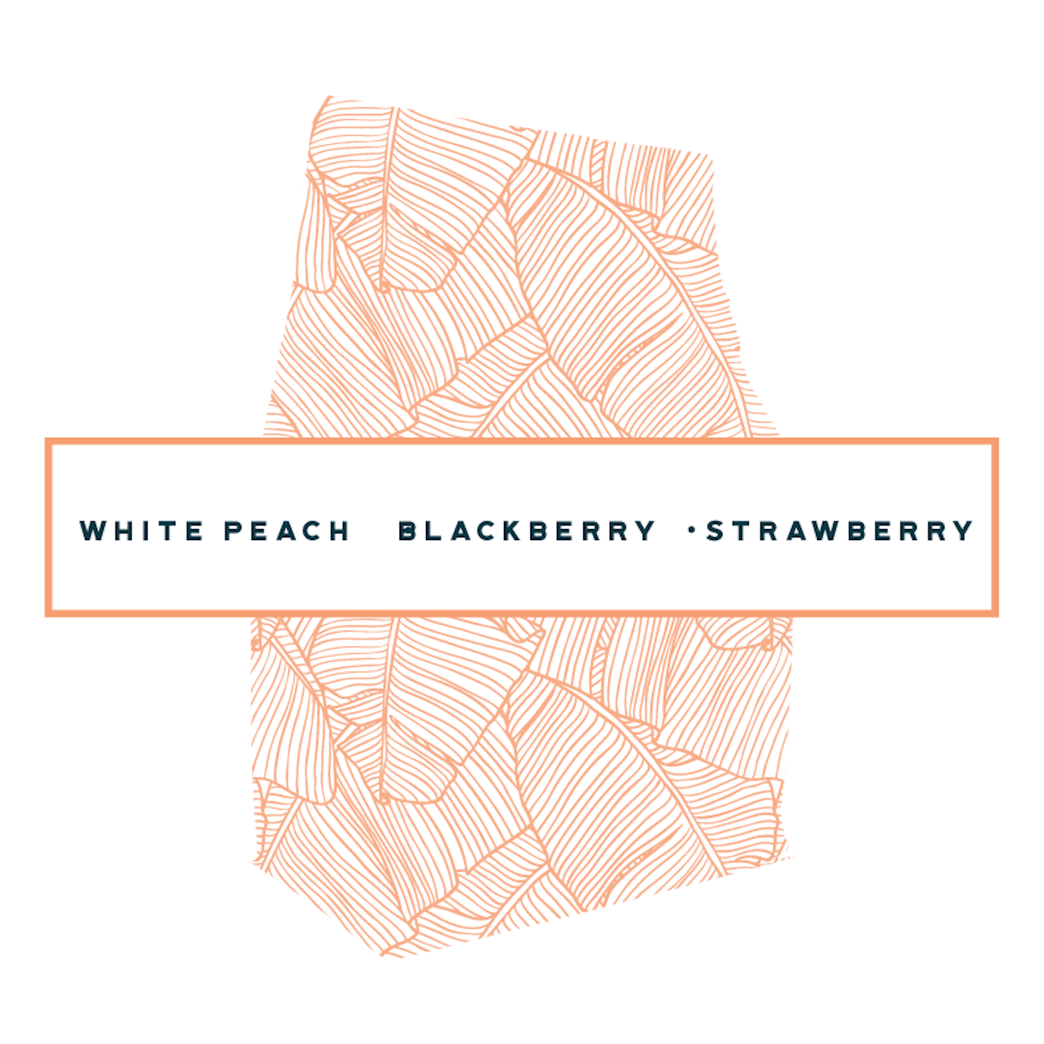 Banana Leaf Pattern Coffee Bag Rollovers-18.png