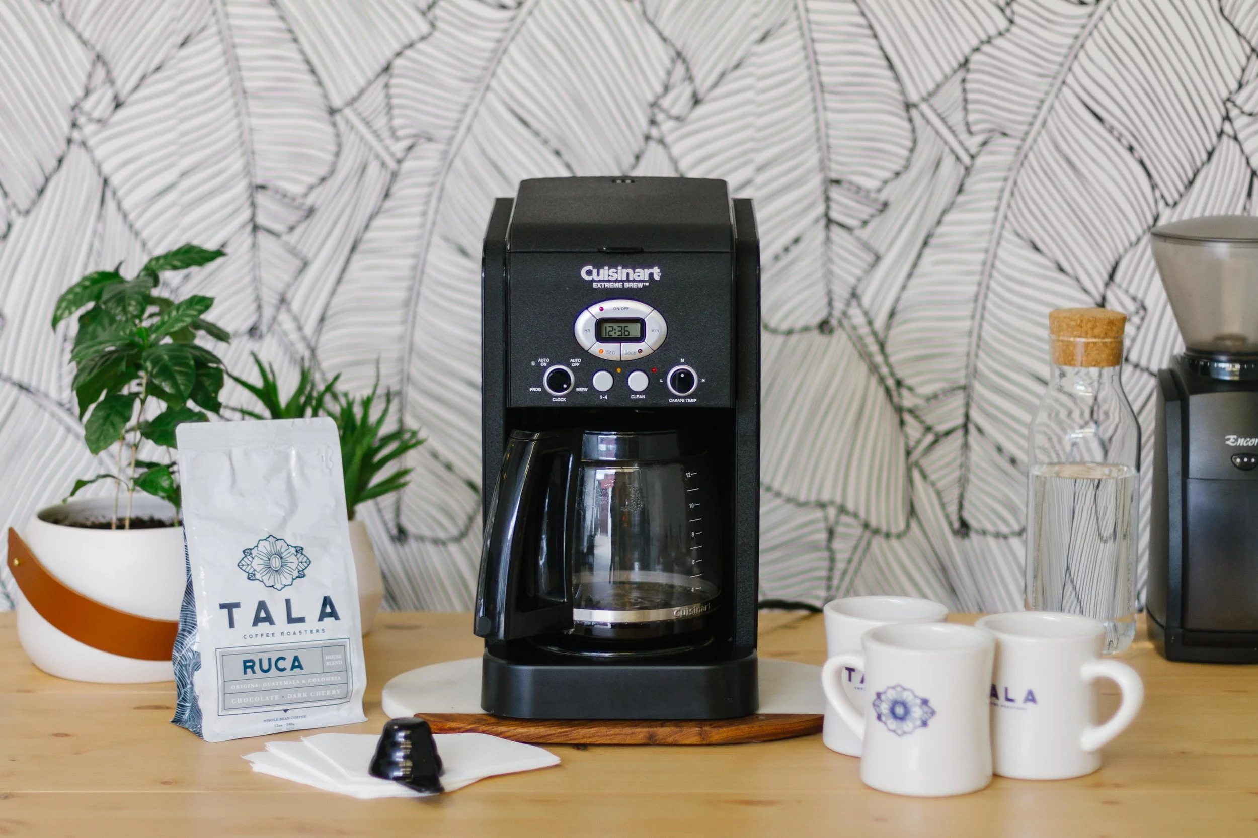 Auto Drip brewing setup