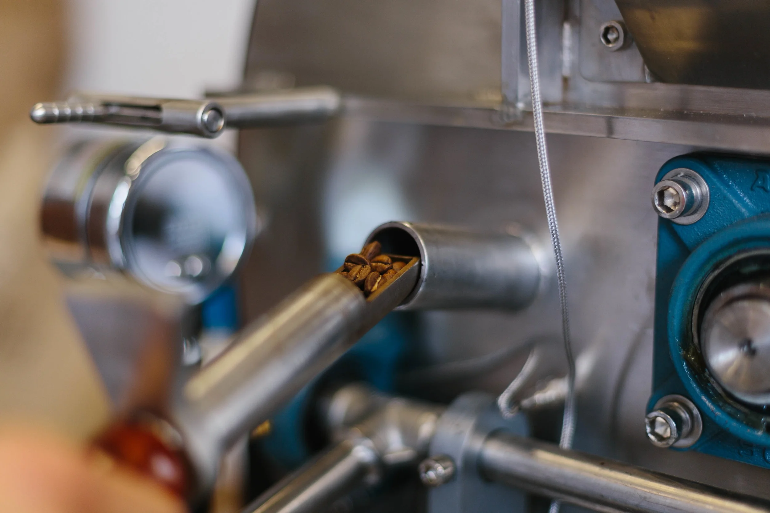 Coffee Varietals Explained