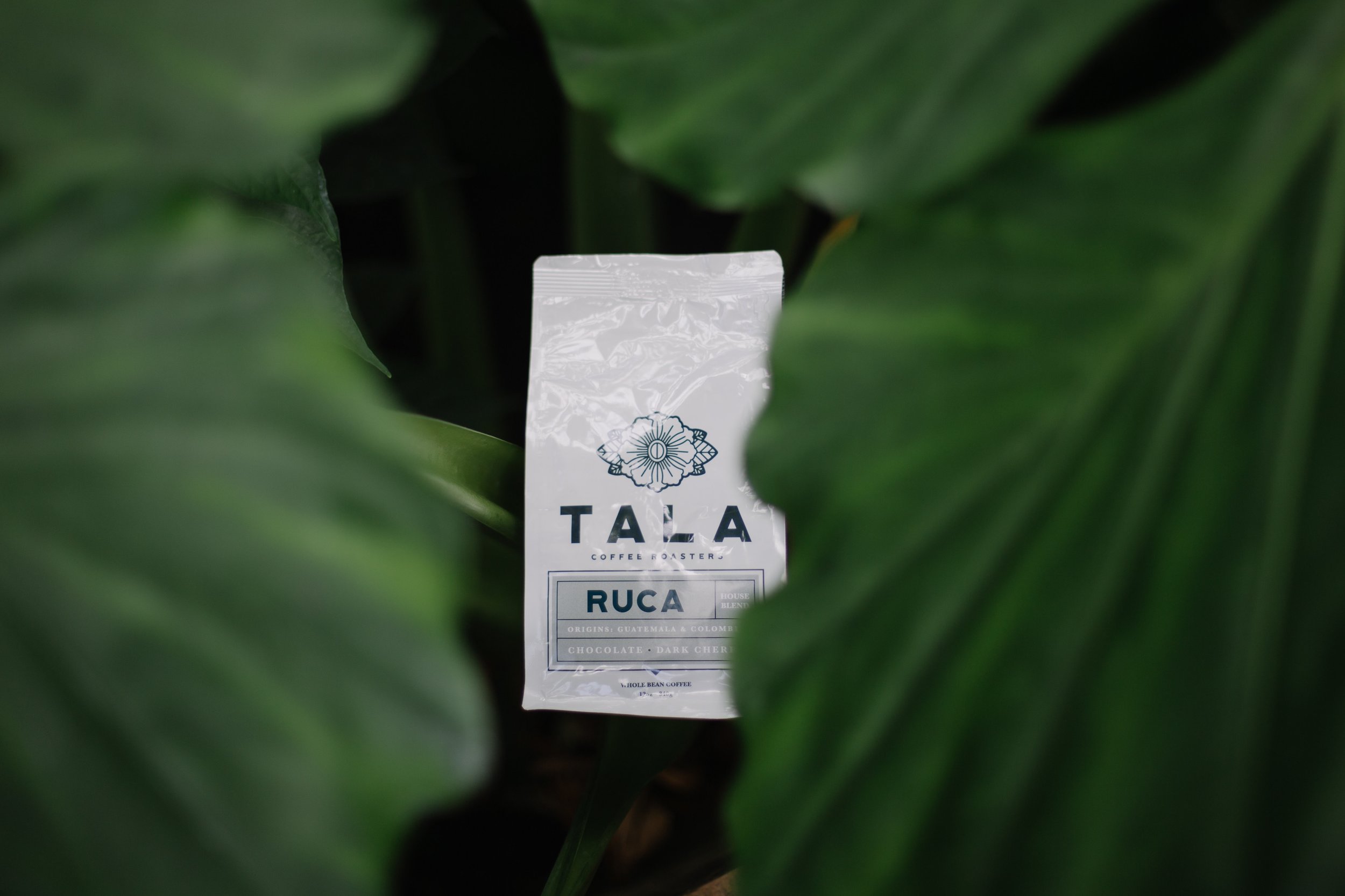 Ruca is our tried and true house blend. In the Ruca, We love Ruca for its nostalgic flavor of sweet, chocolate. Its complex enough to drink alone, but it also pairs well with cream, sugar, and a couple friends.