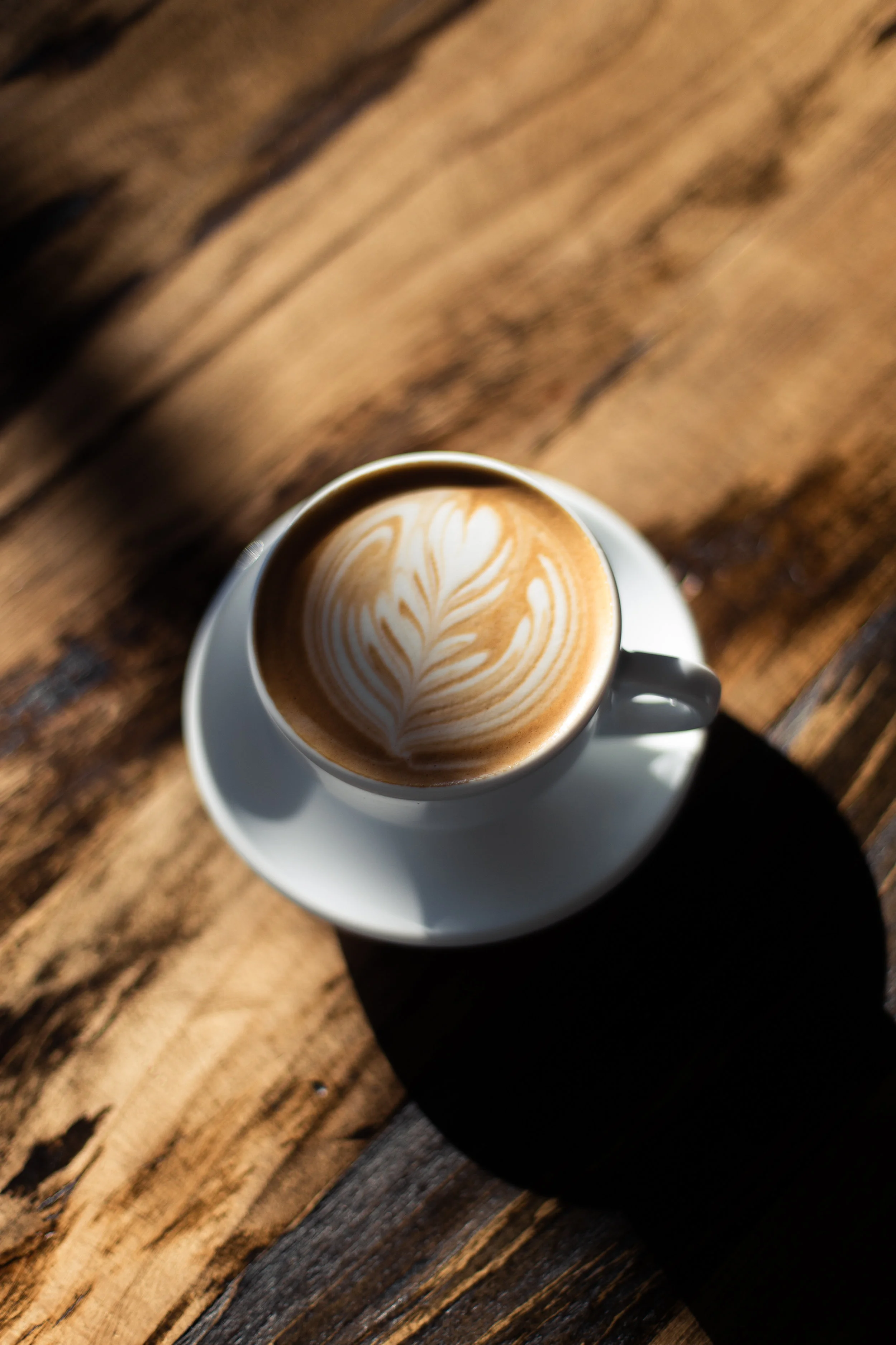 Its here! Some say its “basic” and cliche, but we say “OMG, its delicious, for realz.” Our syrup is made in-house with pumpkin puree, spiced rum, brown sugar, and our special blend of pumpkin pie spices and then combined with espresso and steamed milk. We literally can’t even. Now available hot, iced or frozen!