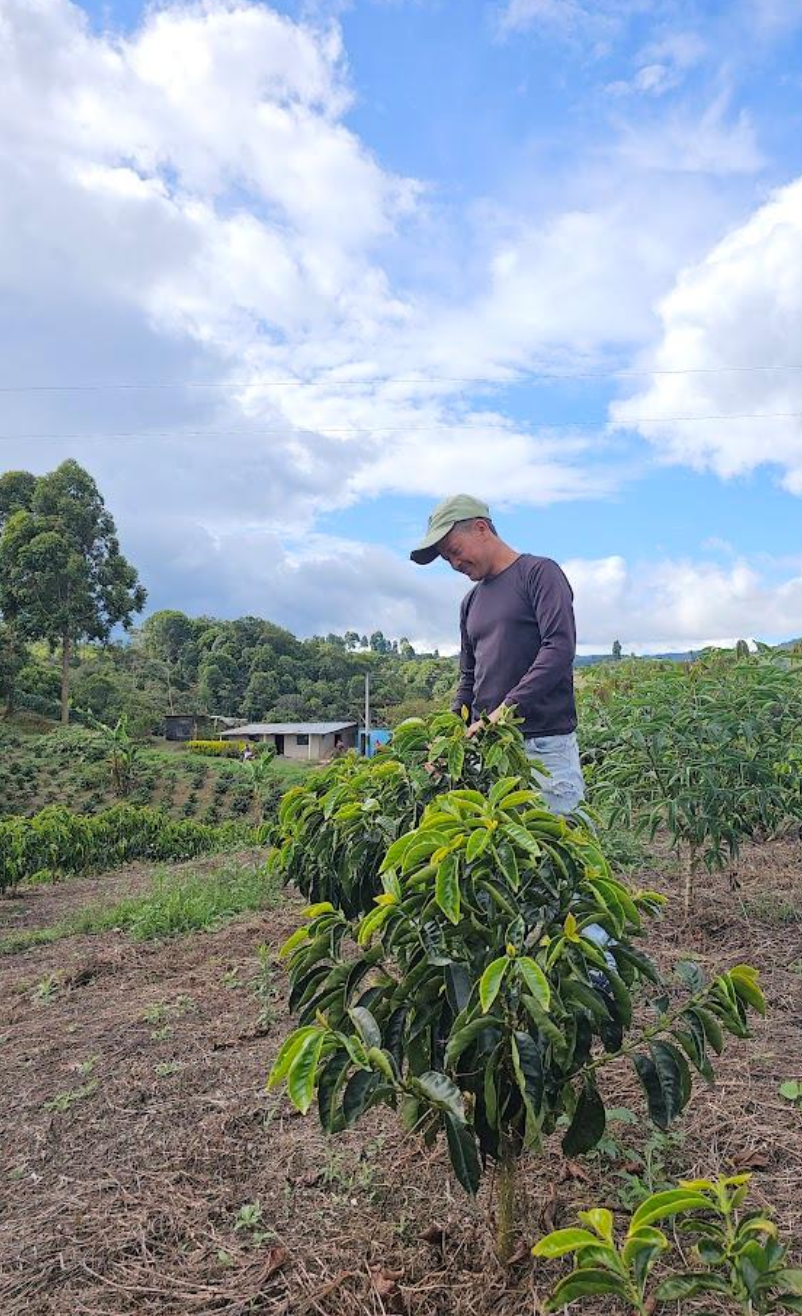 Screen Shot 2026-01-13 at 11.08.05 AM.png