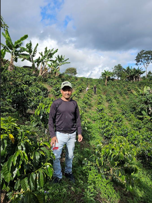 Mastercol - Terra: Huila, Colombia