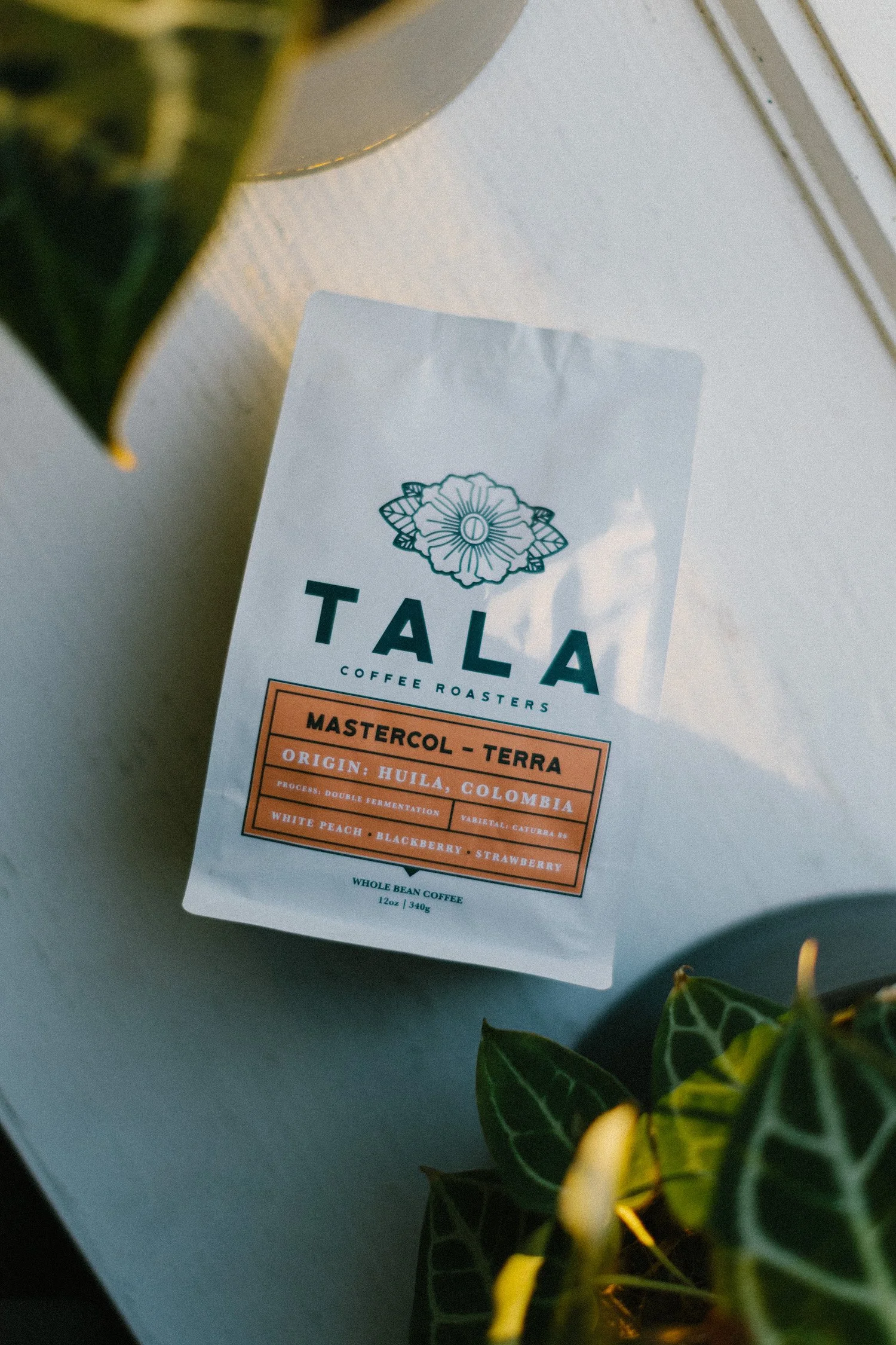 Mastercol - Terra: Huila, Colombia